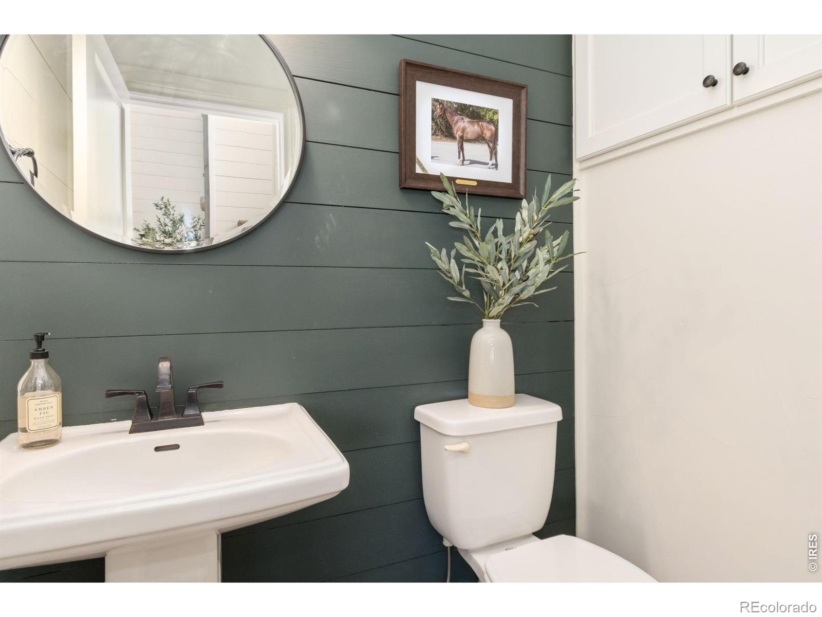 MLS #RECIR1068102 image #17