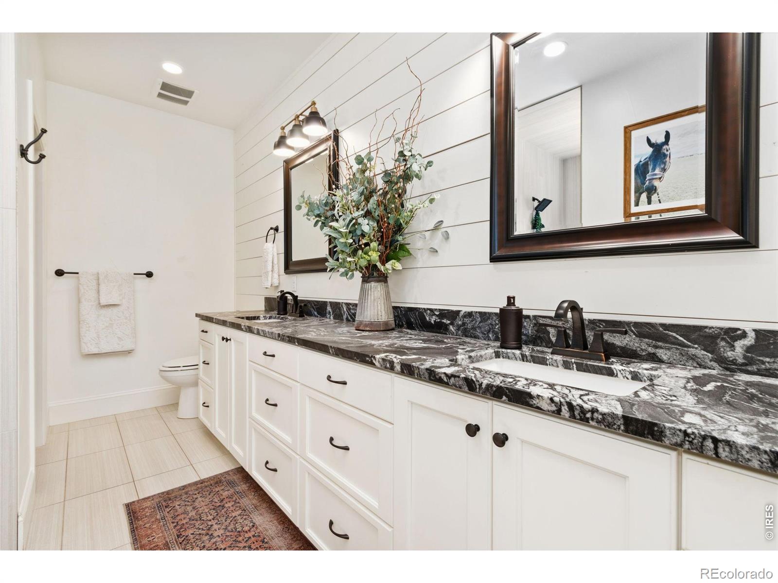 MLS #RECIR1068102 image #20