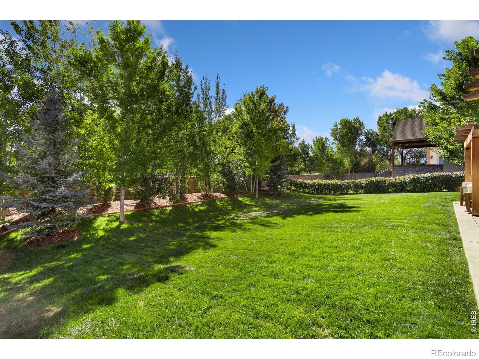 MLS #RECIR1068102 image #45