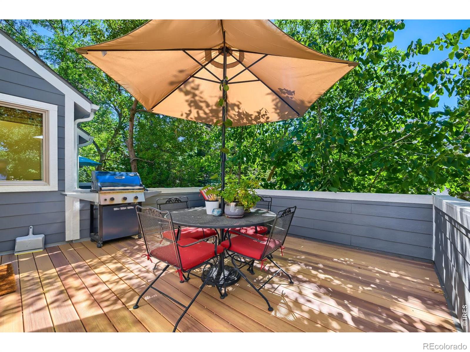 MLS #RECIR1068106 image #9
