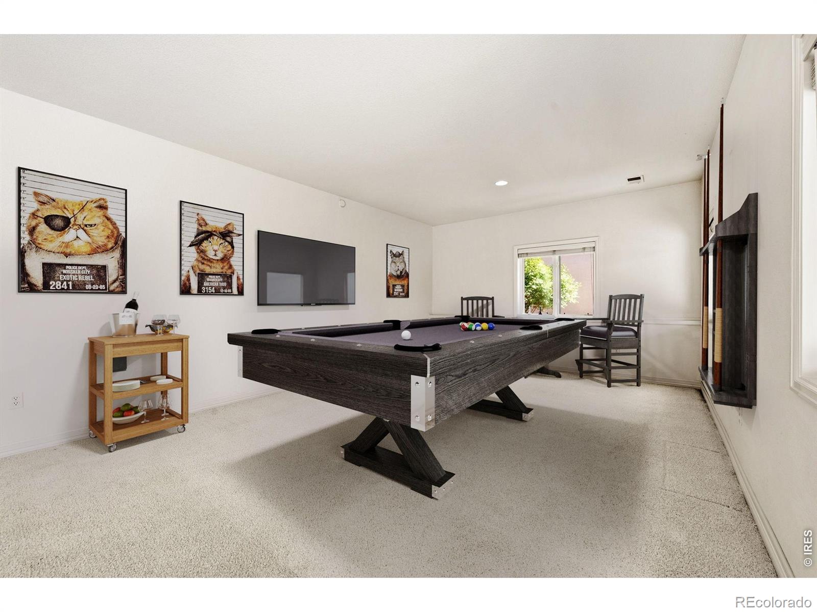 MLS #RECIR1068124 image #46