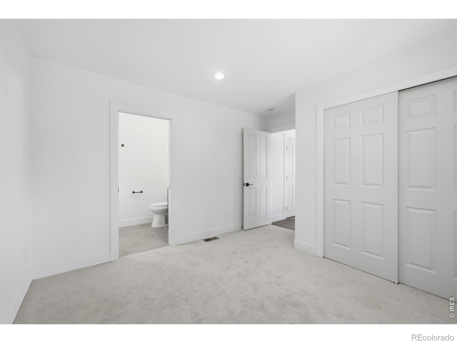 MLS #RECIR1068143 image #29