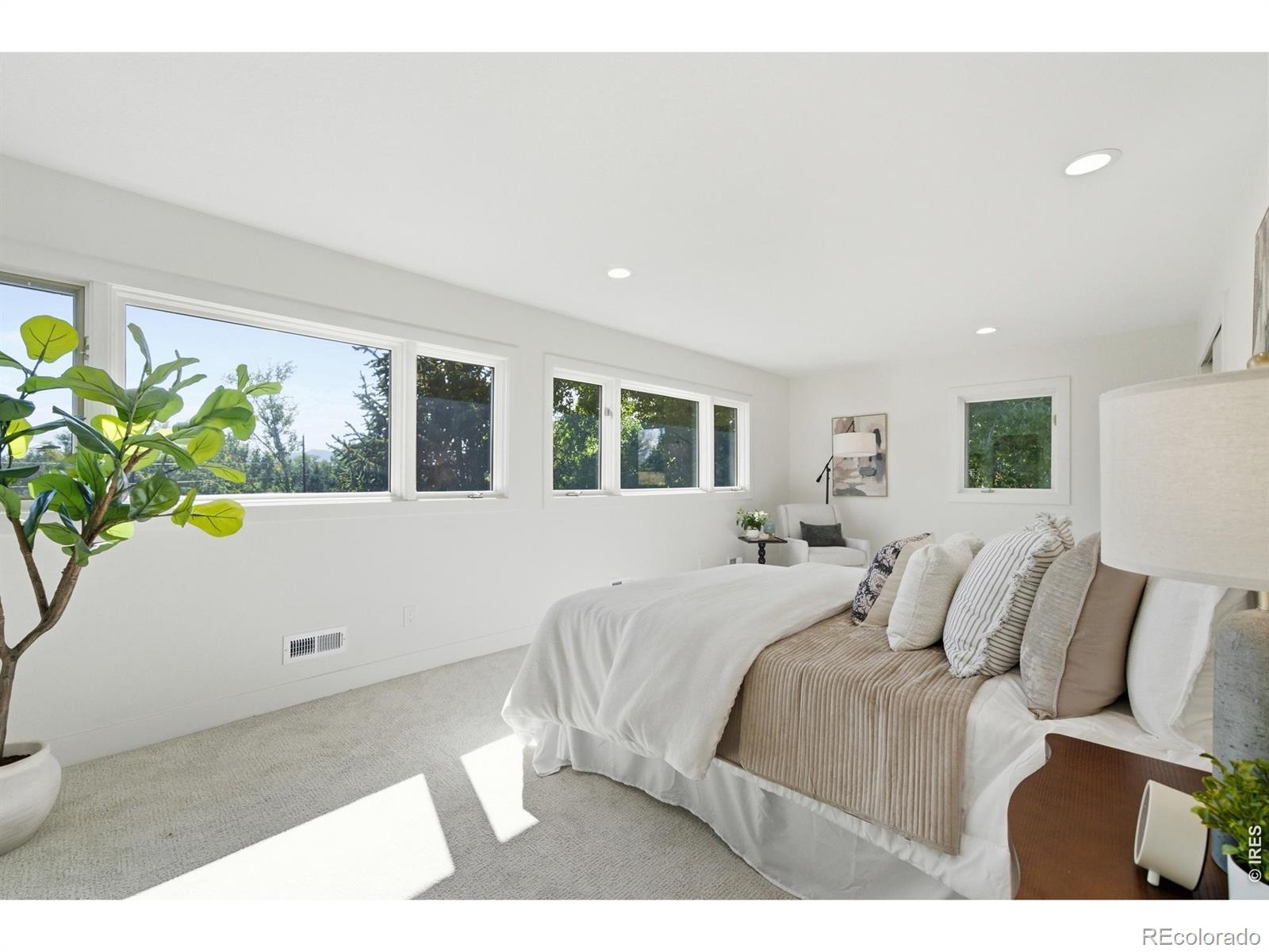 MLS #RECIR1068143 image #31