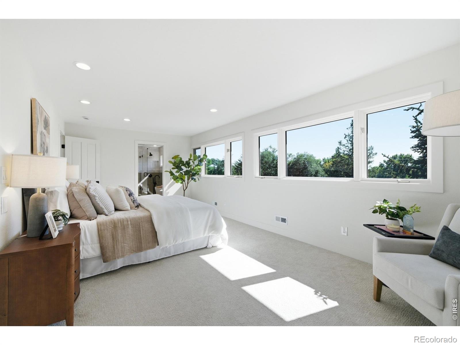 MLS #RECIR1068143 image #32