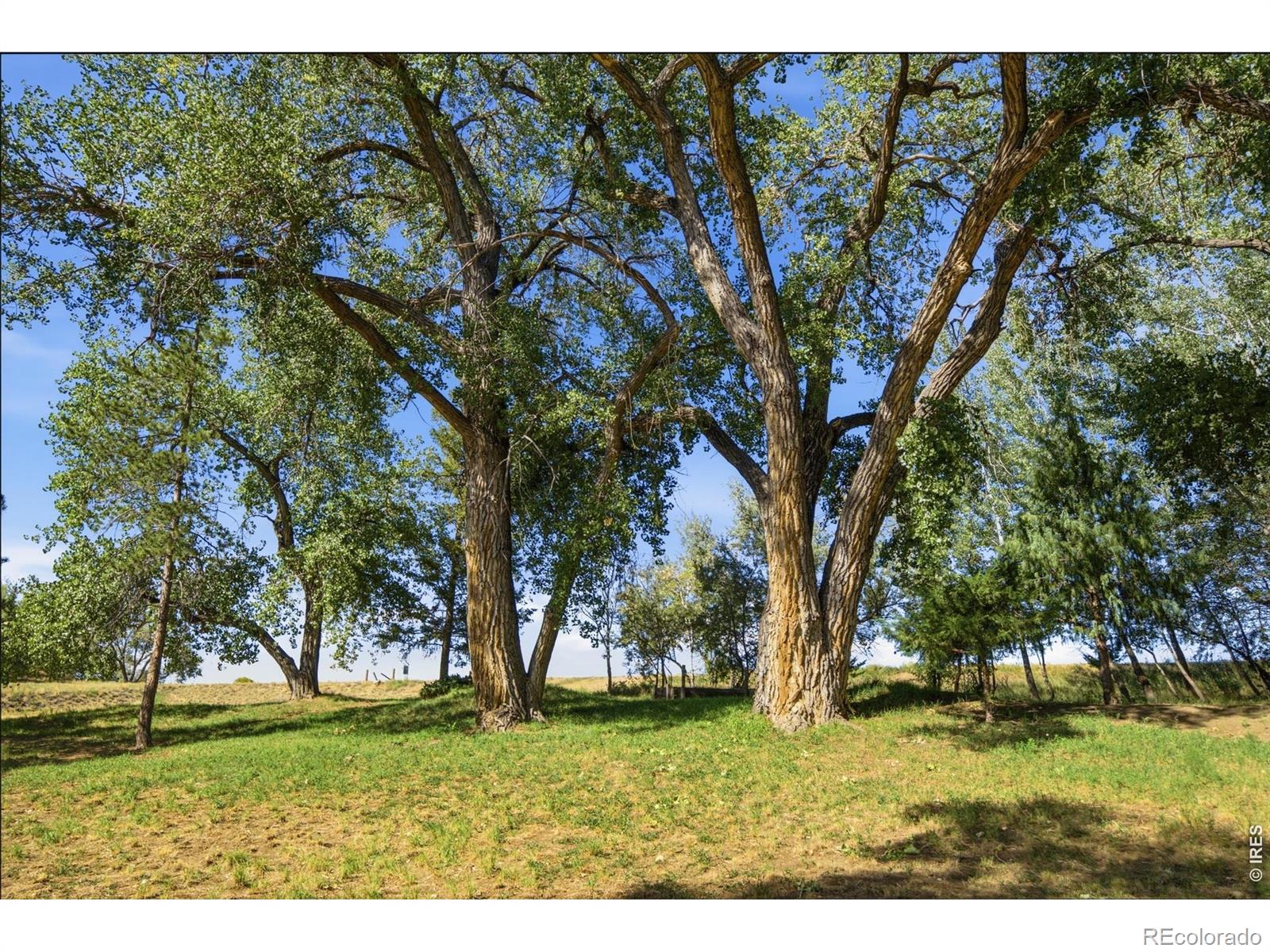MLS #RECIR1068143 image #40