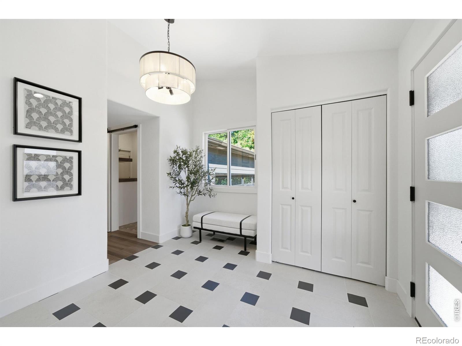 MLS #RECIR1068143 image #5