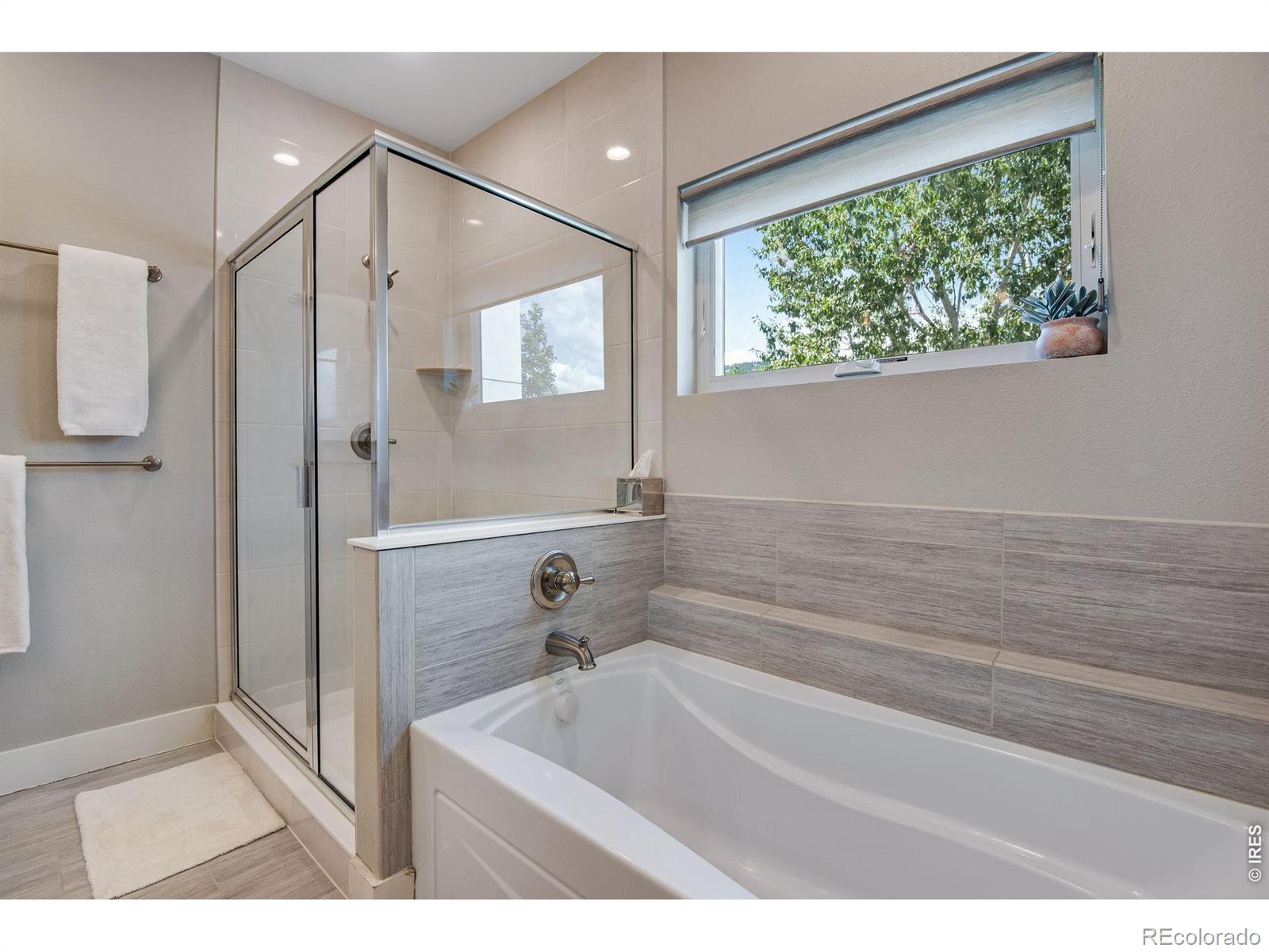 MLS #RECIR1068205 image #27
