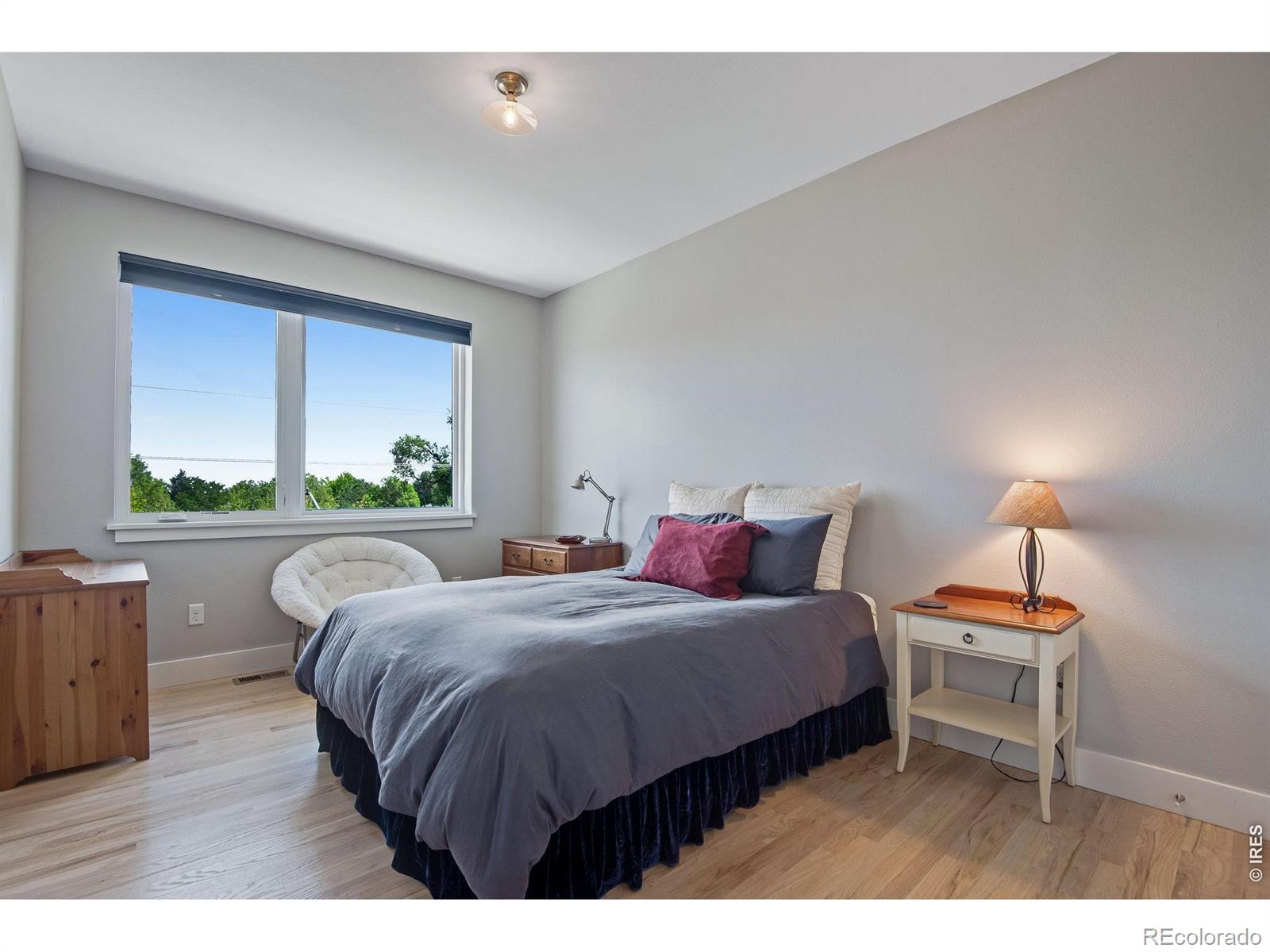 MLS #RECIR1068205 image #30
