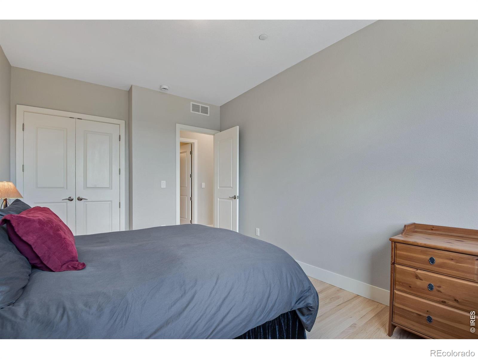 MLS #RECIR1068205 image #31