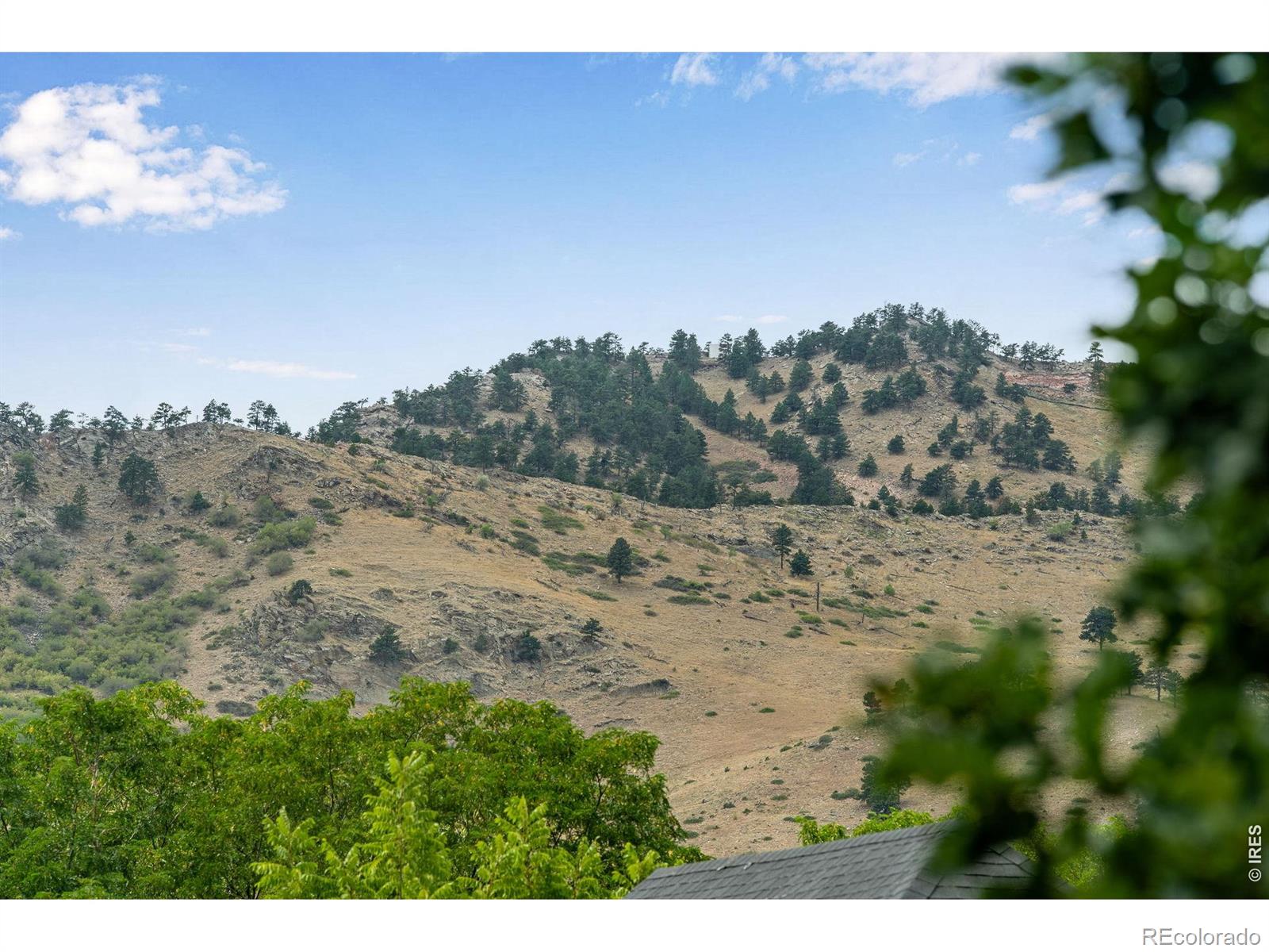 MLS #RECIR1068205 image #44