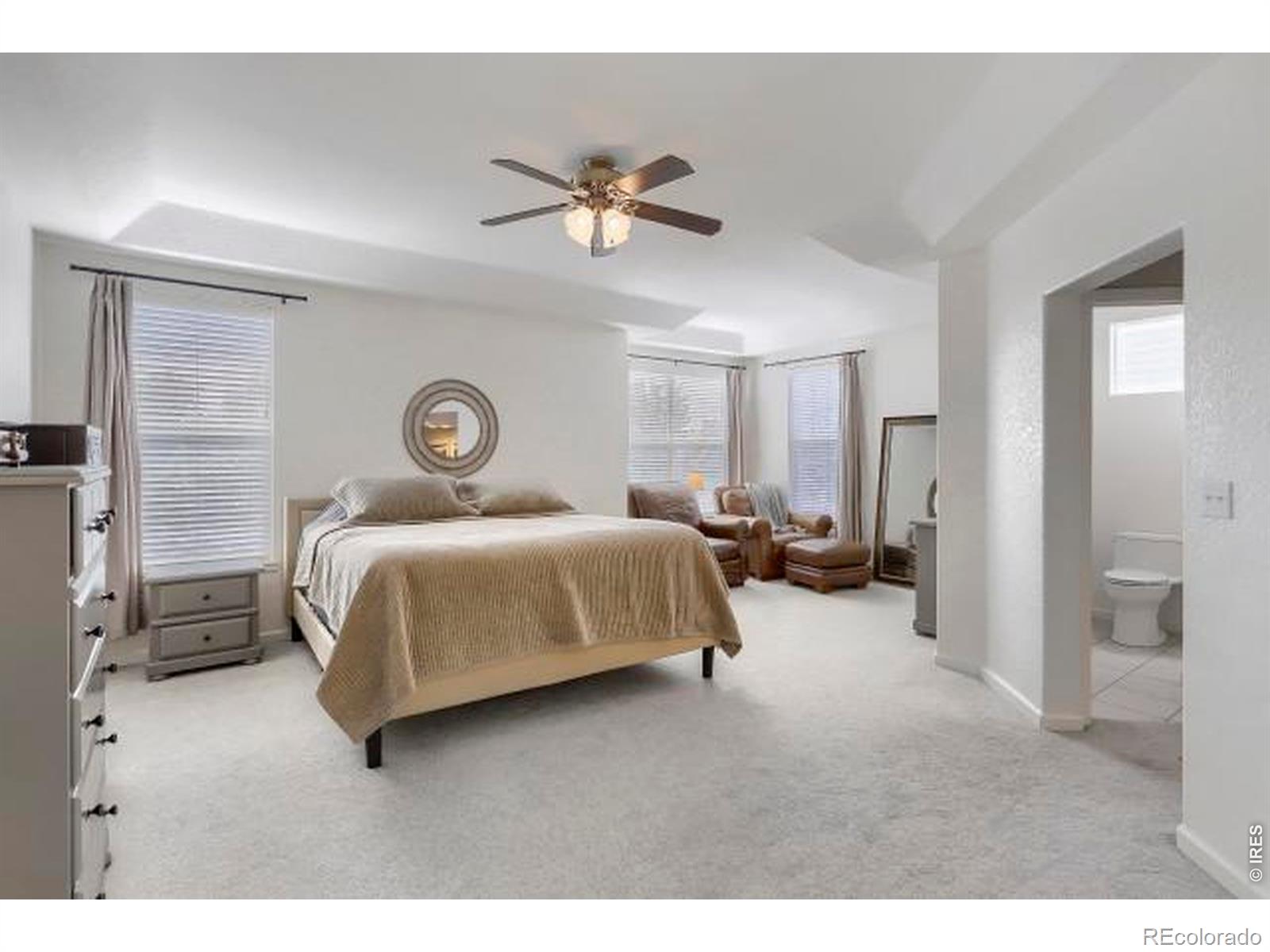 MLS #RECIR1068207 image #19