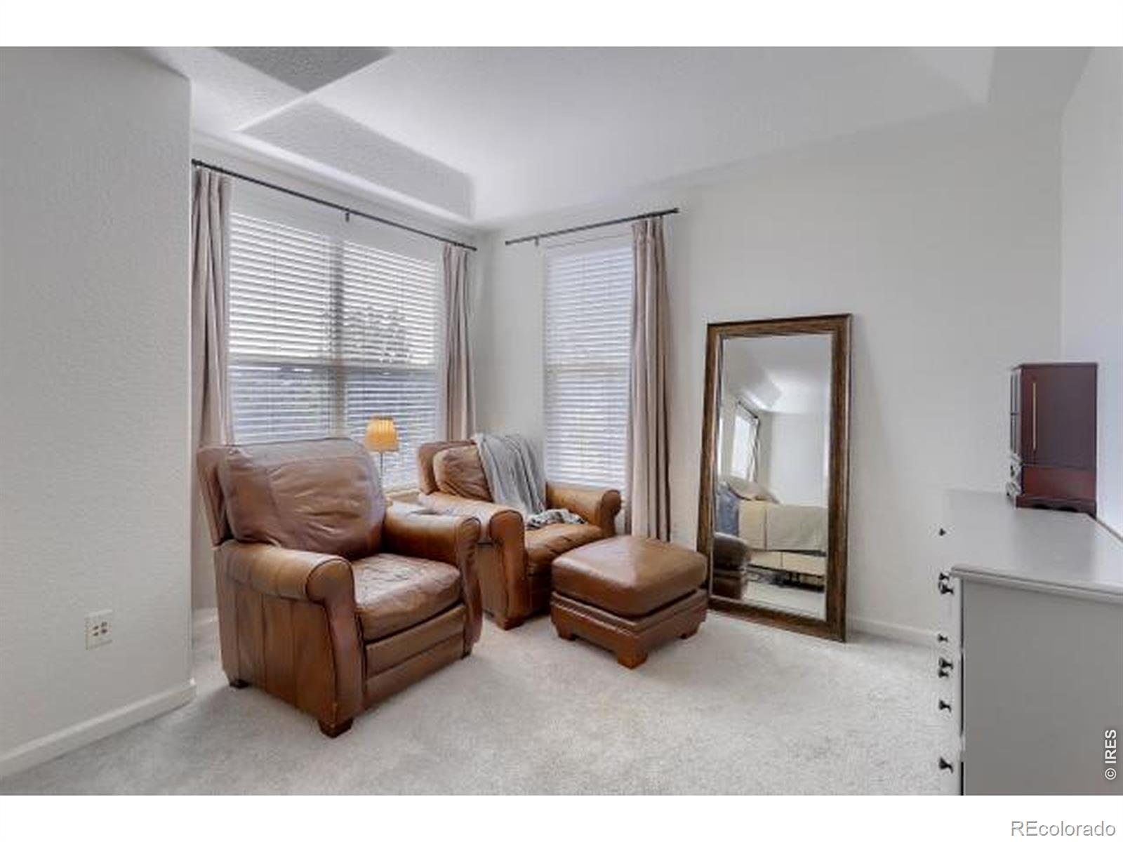 MLS #RECIR1068207 image #22
