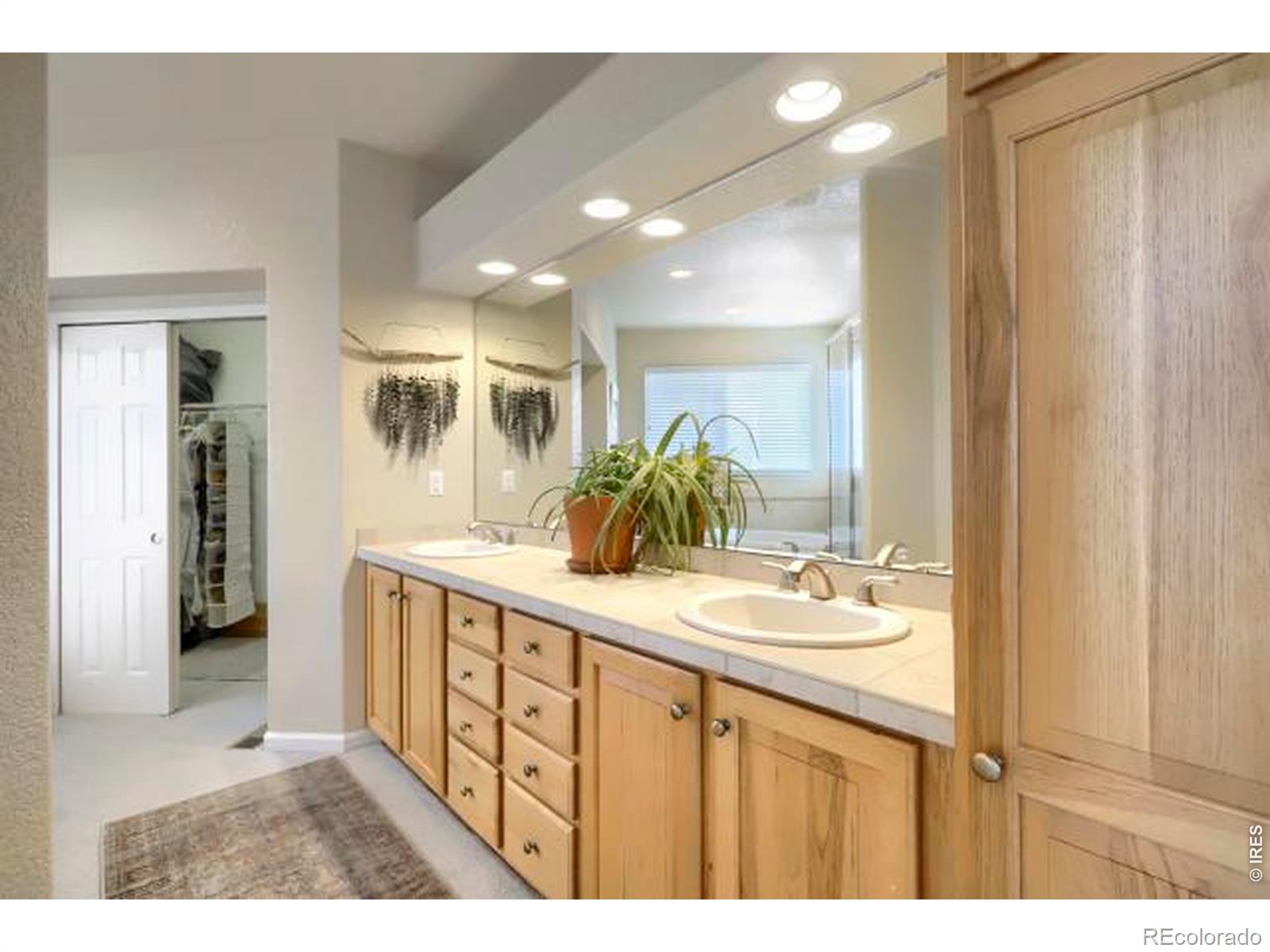 MLS #RECIR1068207 image #23