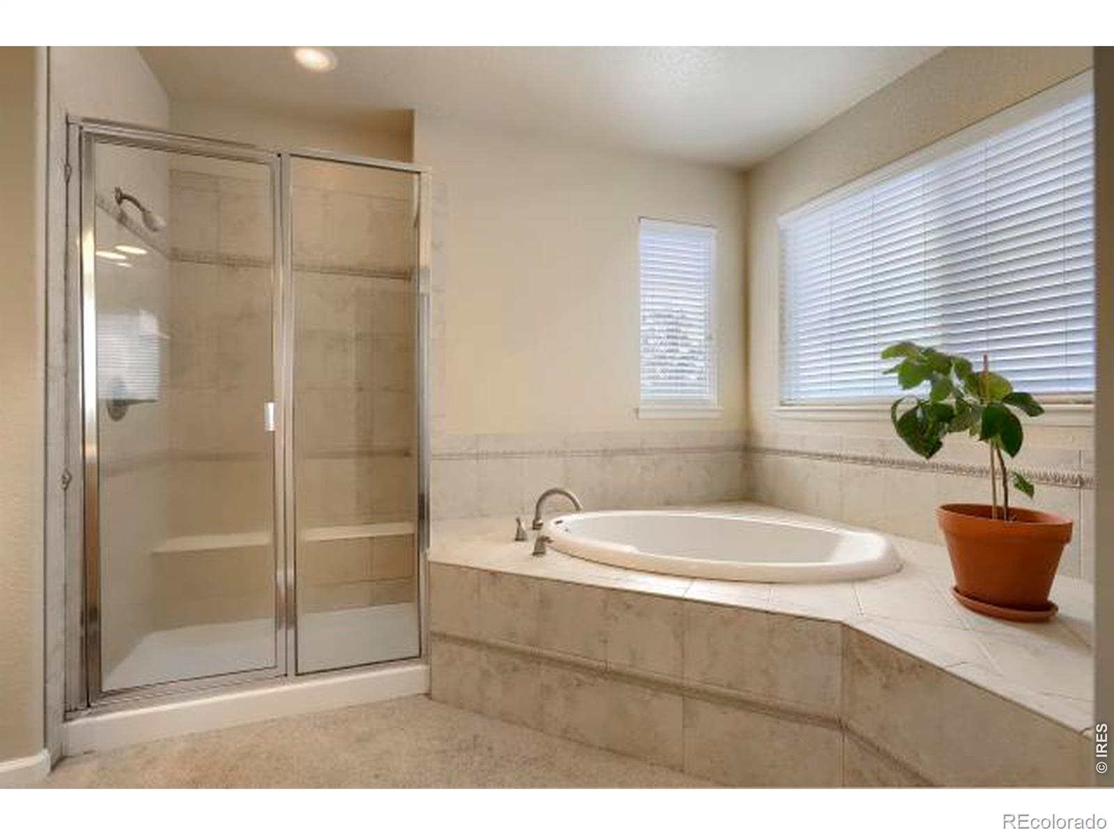 MLS #RECIR1068207 image #24