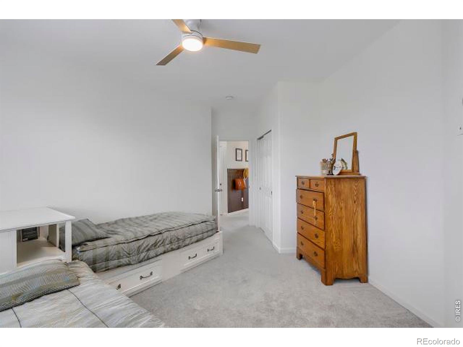 MLS #RECIR1068207 image #31