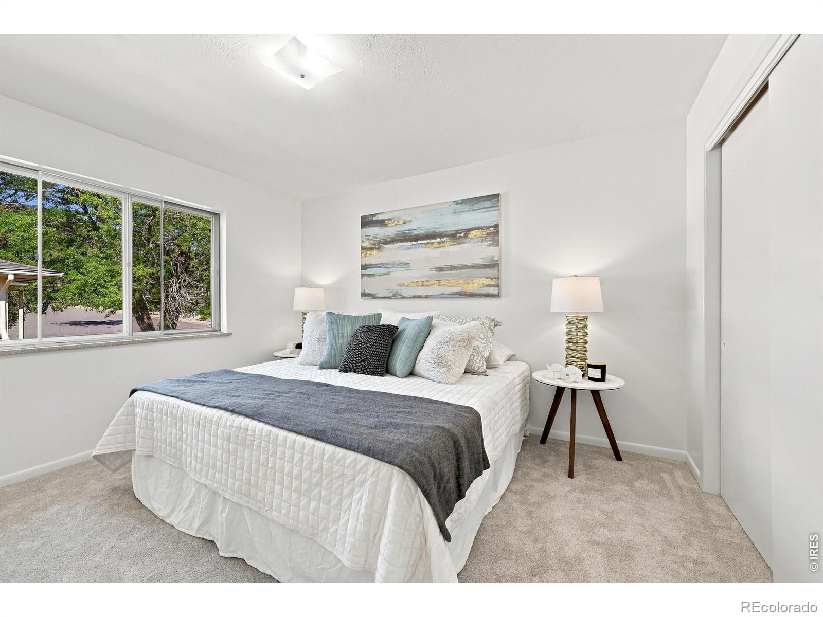 MLS #RECIR1068262 image #17