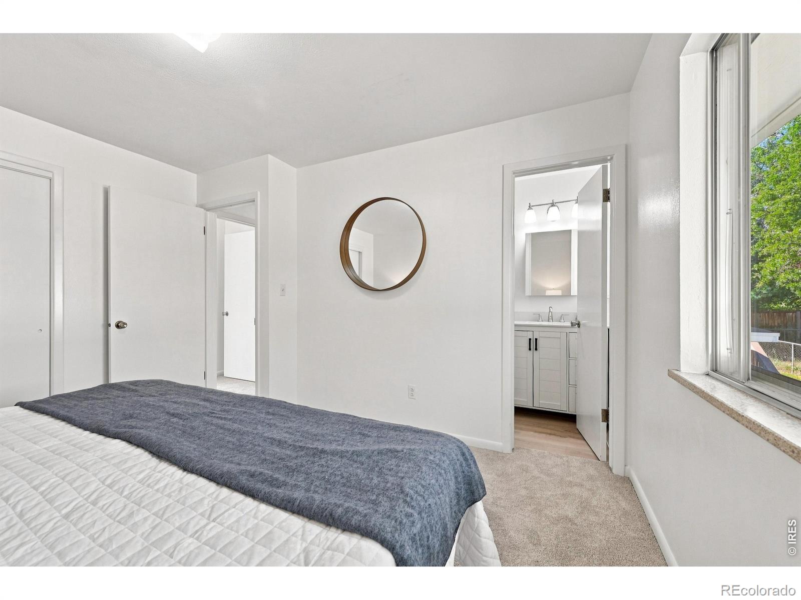 MLS #RECIR1068262 image #19