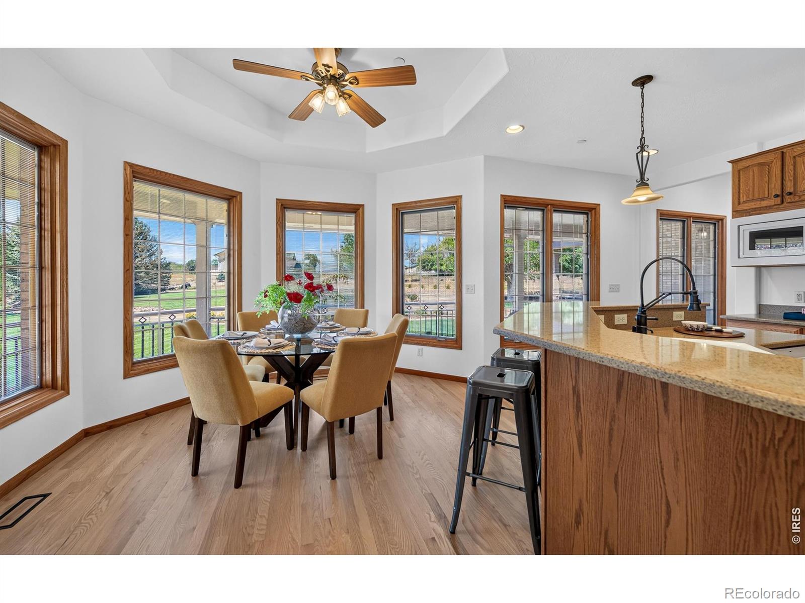 MLS #RECIR1068294 image #18