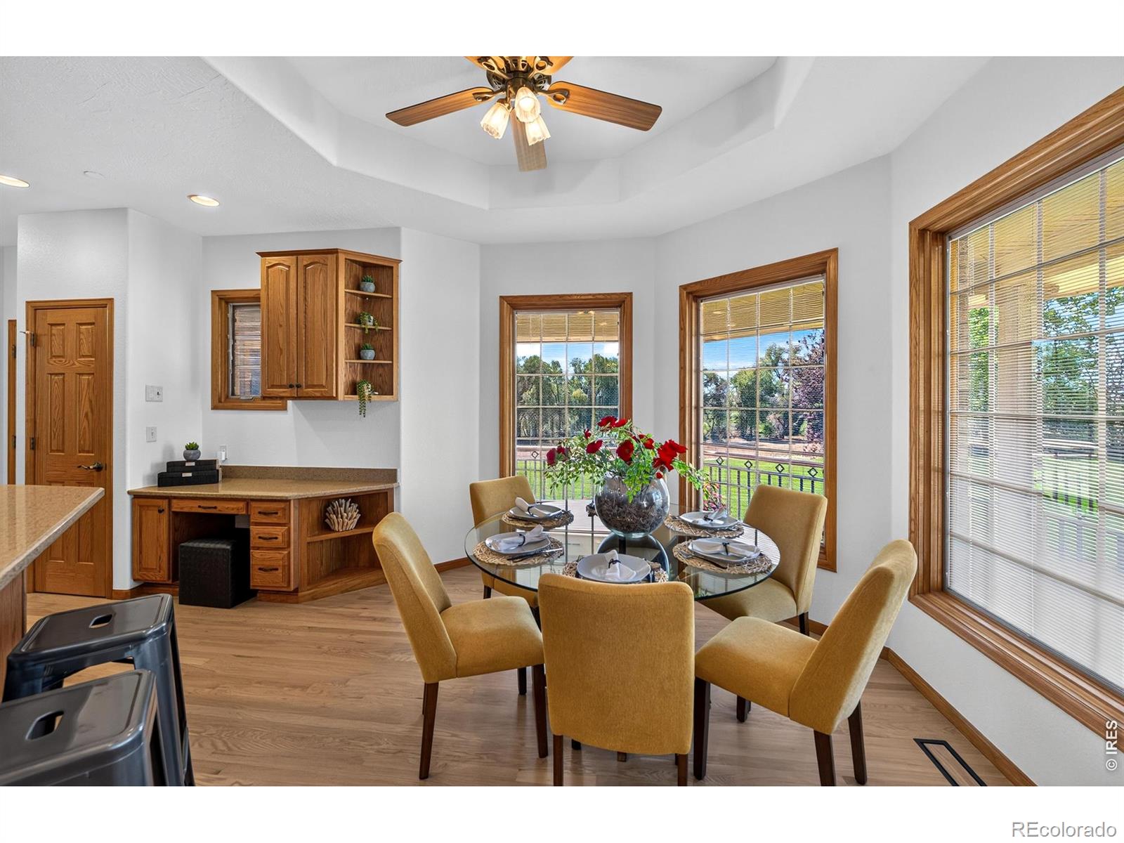 MLS #RECIR1068294 image #19