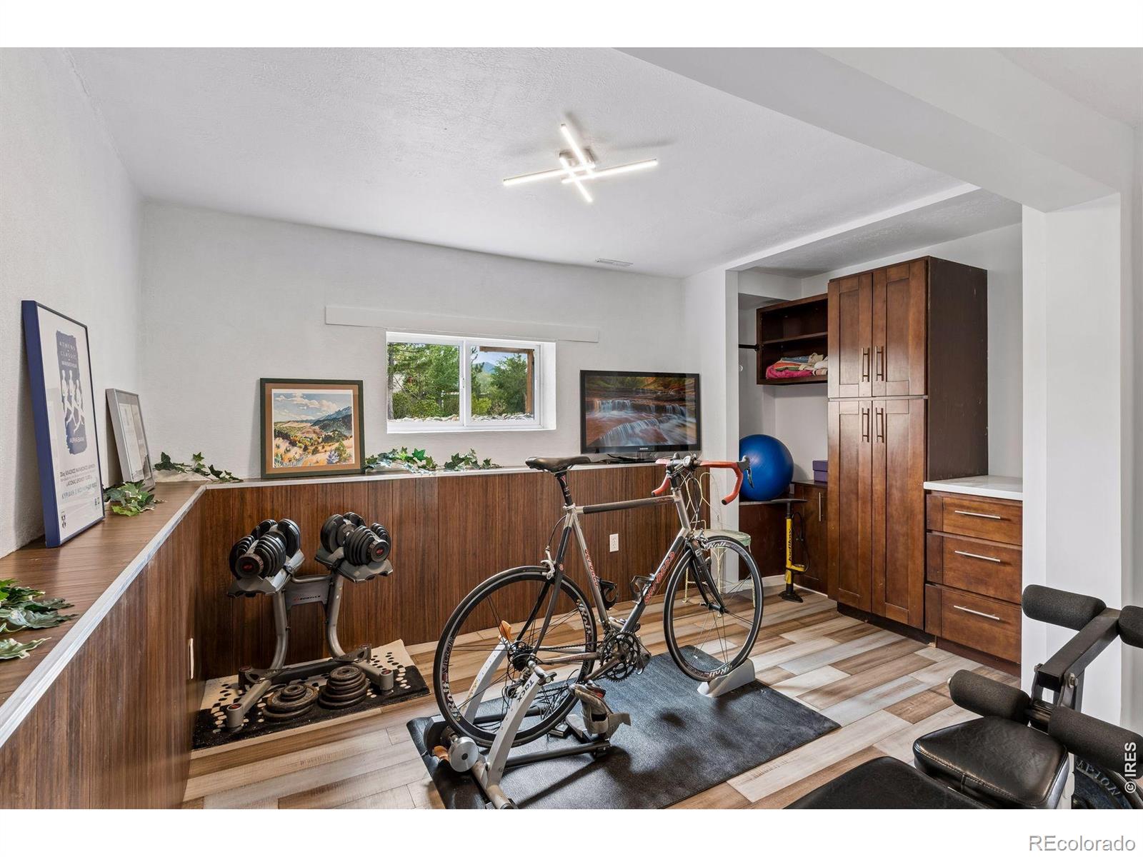 MLS #RECIR1068314 image #30