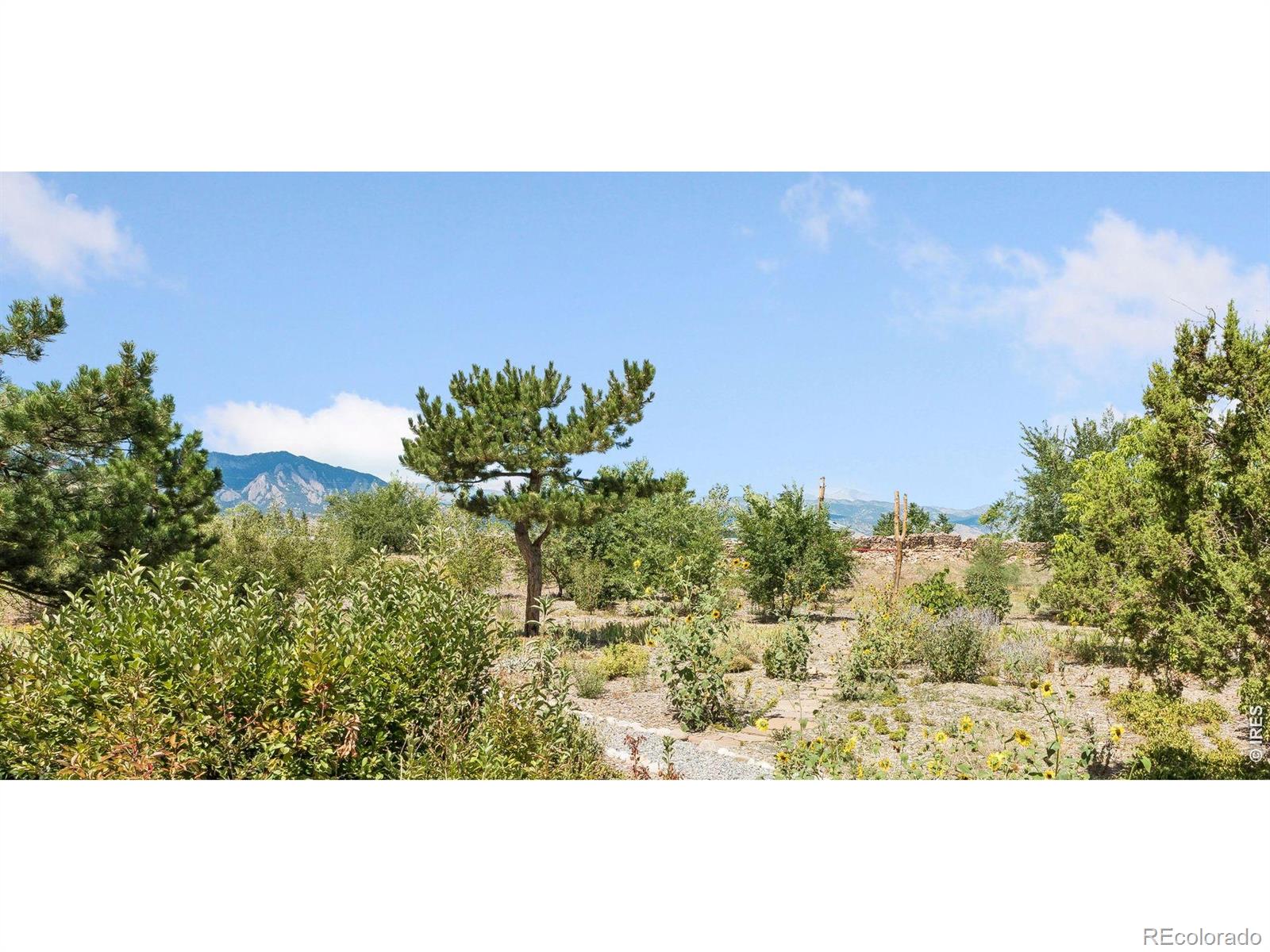 MLS #RECIR1068314 image #42