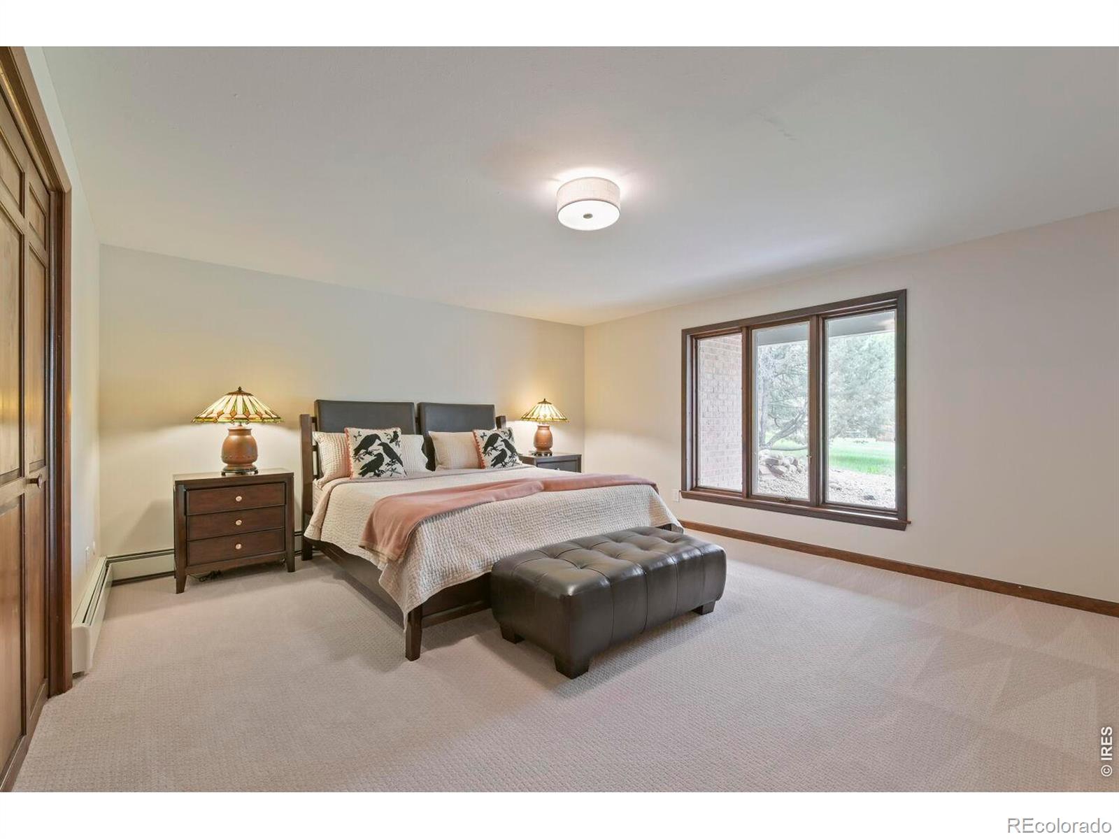 MLS #RECIR1068365 image #42