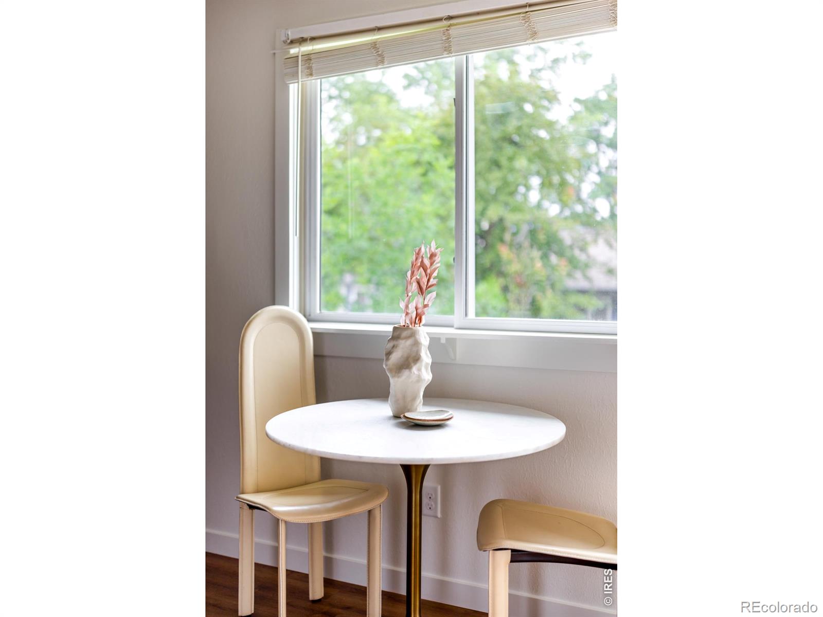 MLS #RECIR1068416 image #7