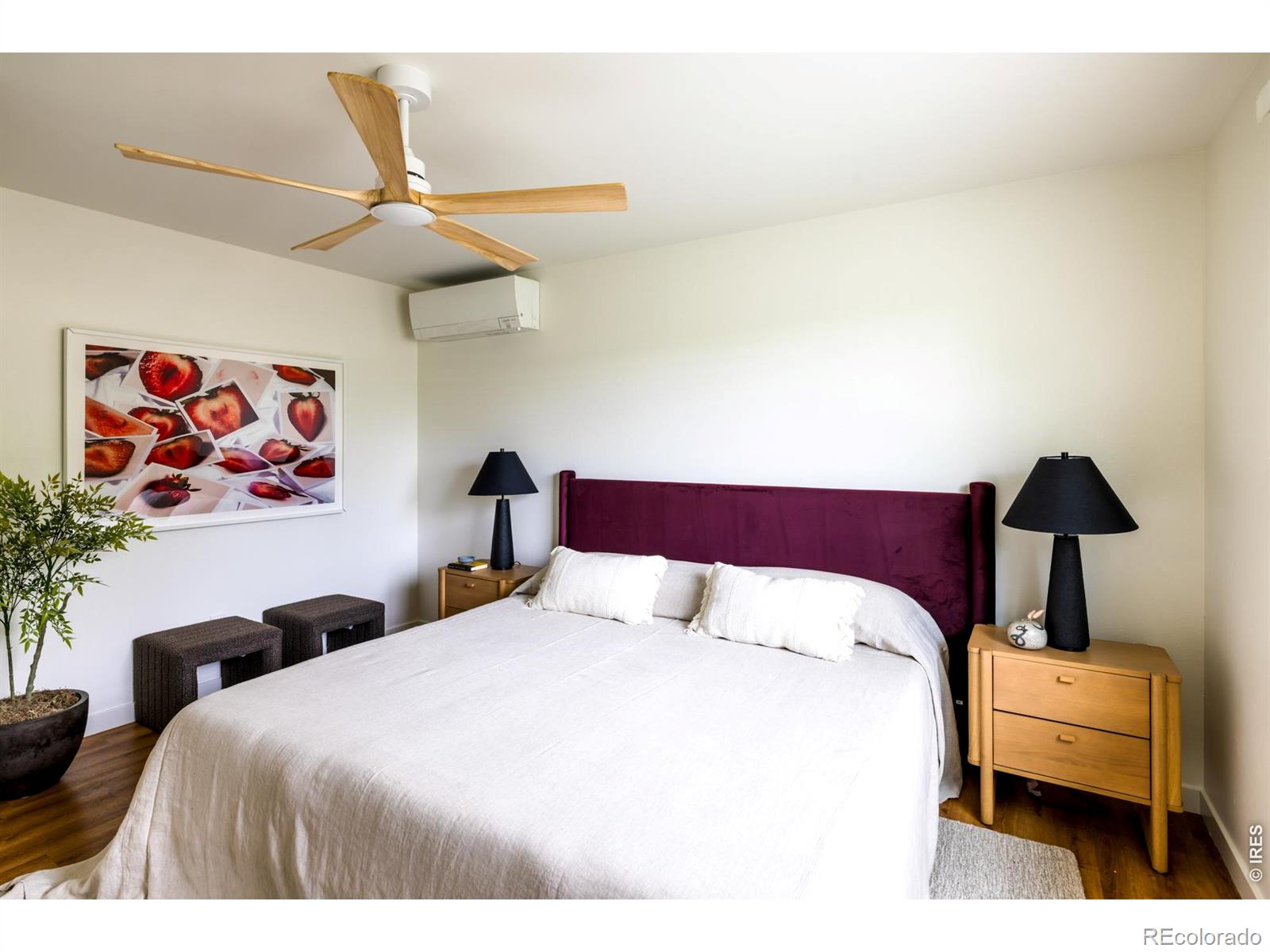 MLS #RECIR1068416 image #9