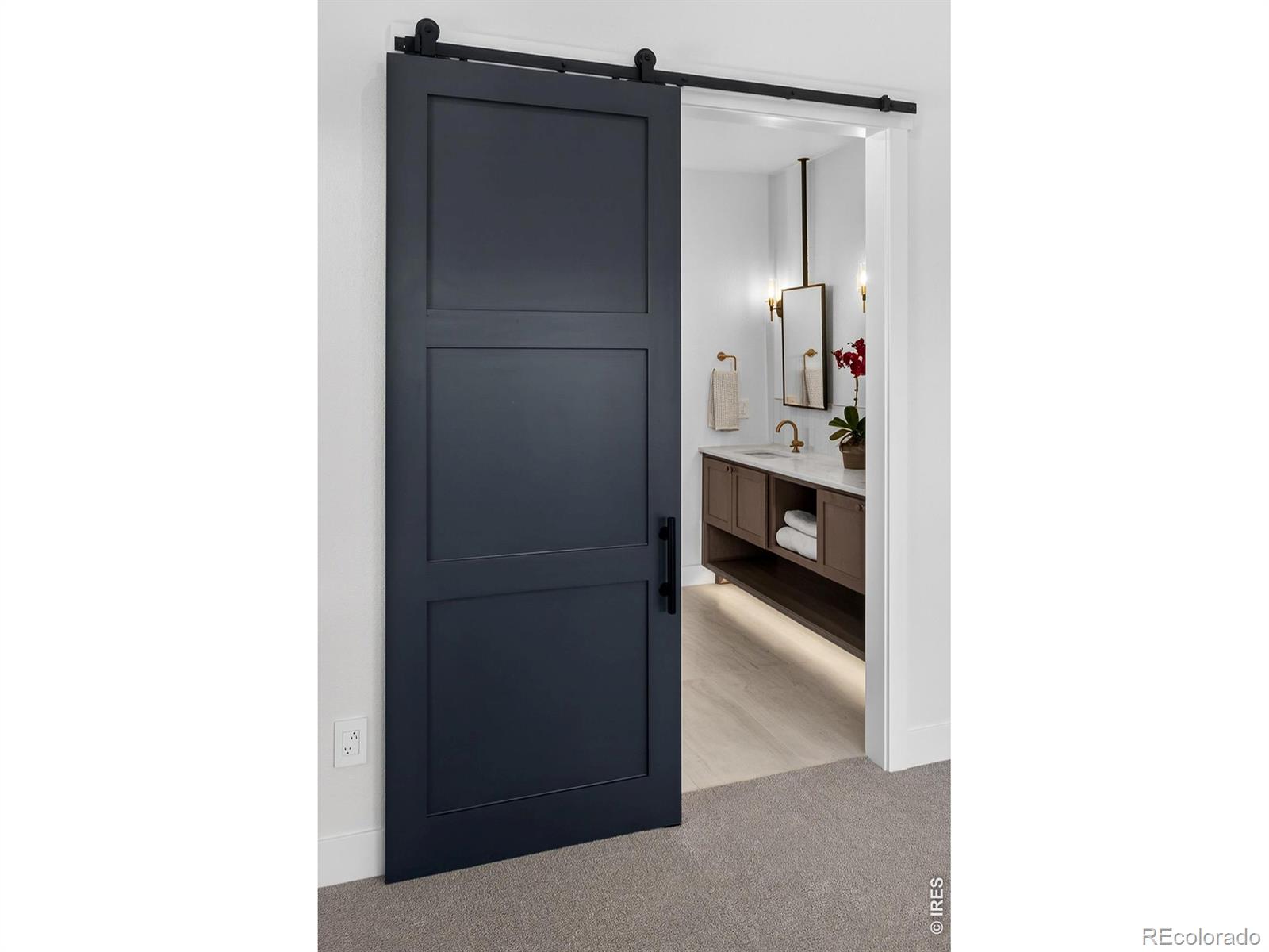 MLS #RECIR1068422 image #10