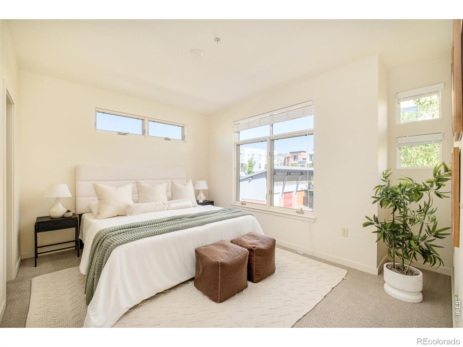 MLS #RECIR1068466 image #17