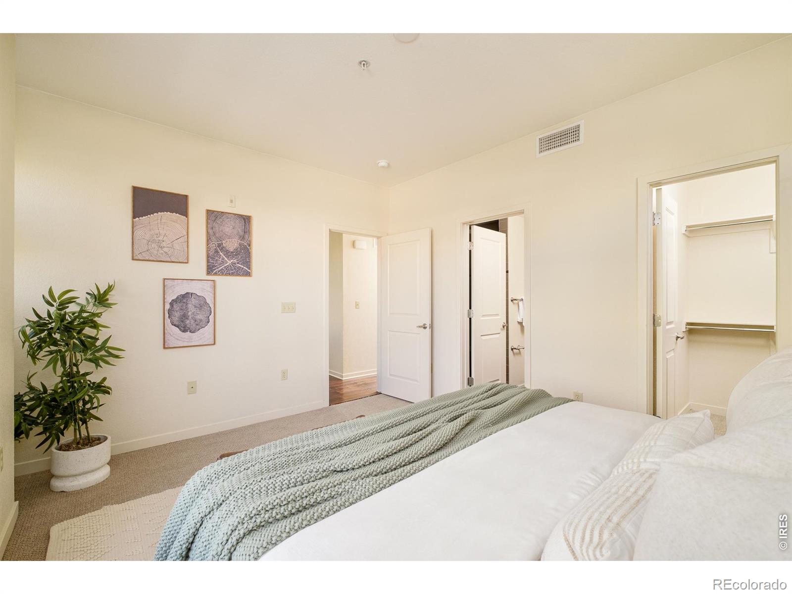 MLS #RECIR1068466 image #18