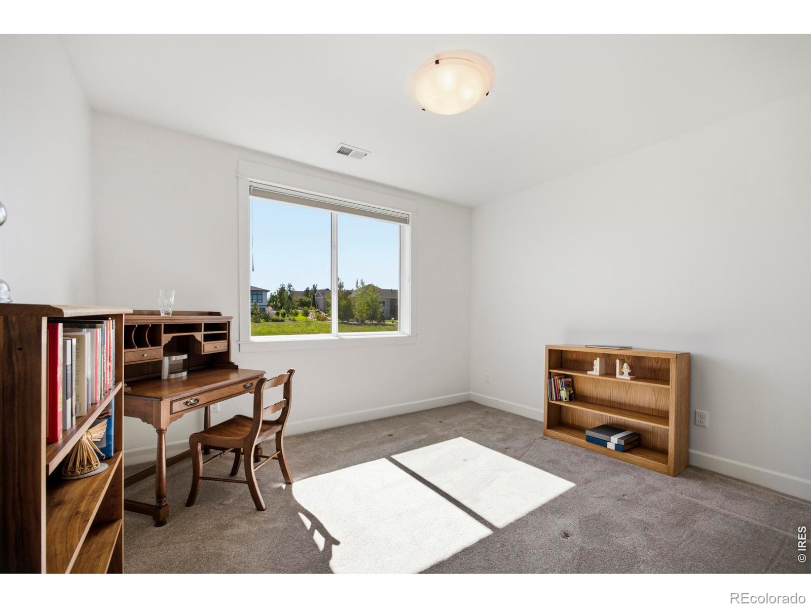 MLS #RECIR1068472 image #33