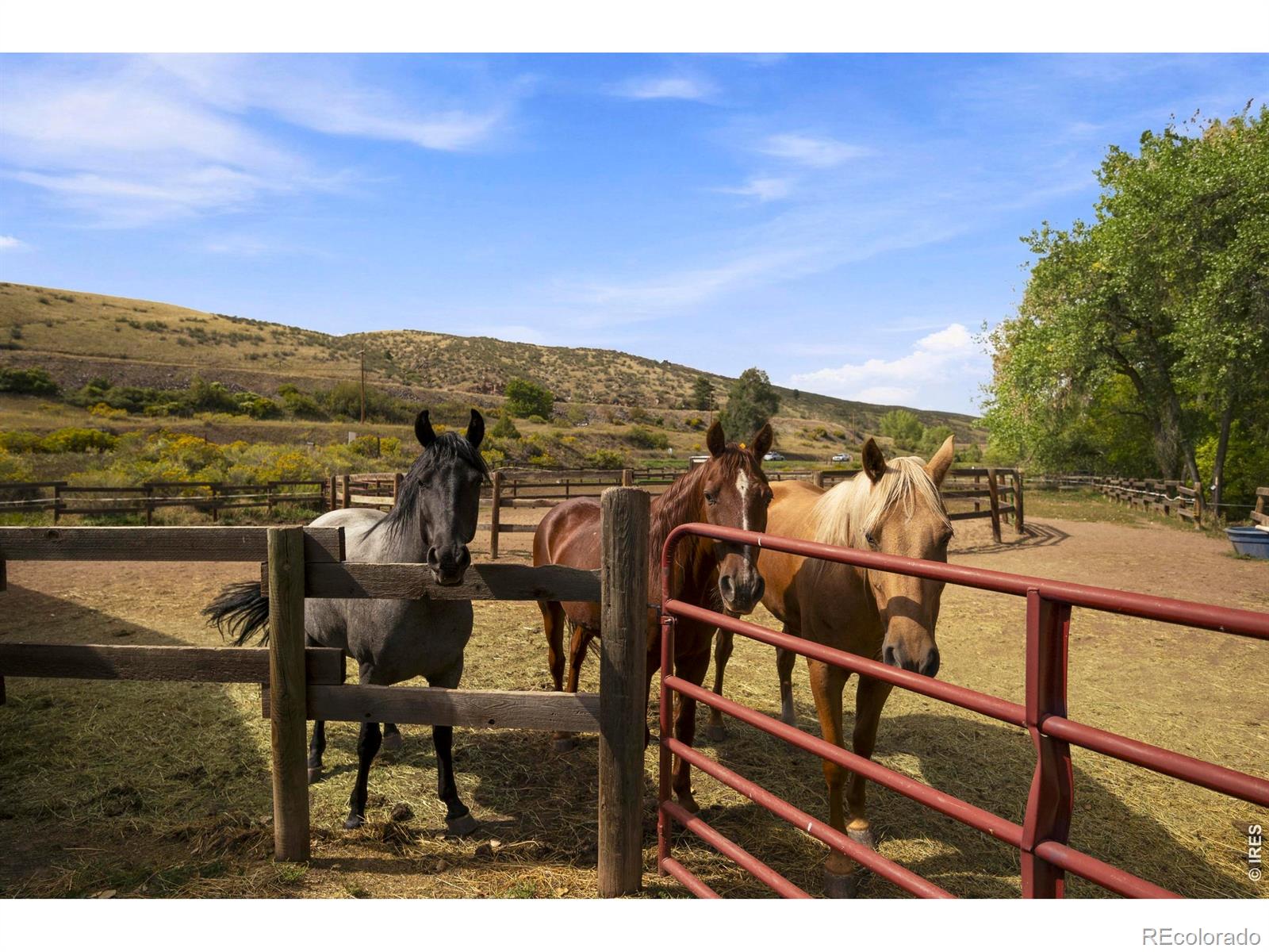 MLS #RECIR1068501 image #37