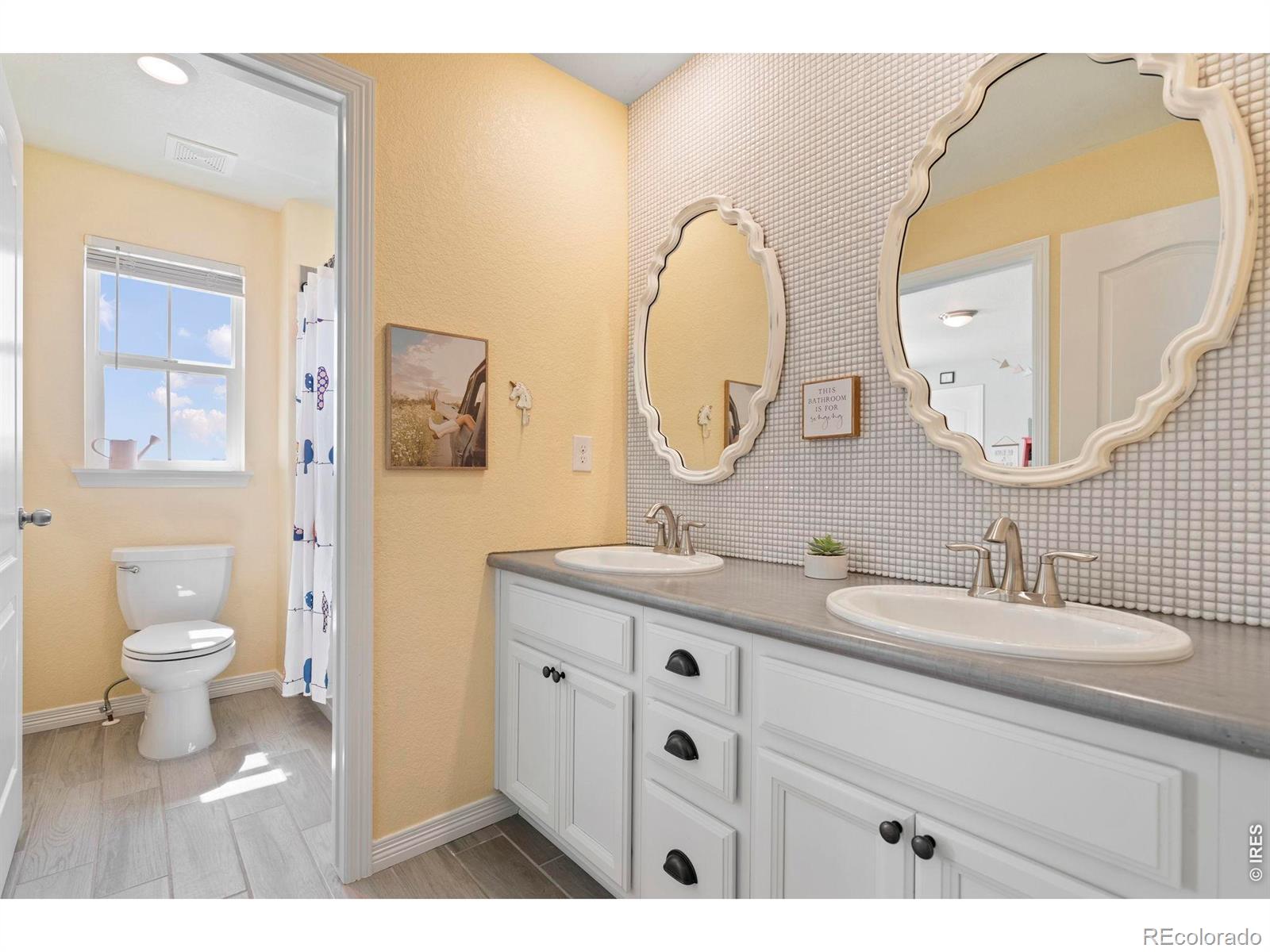 MLS #RECIR1068515 image #28