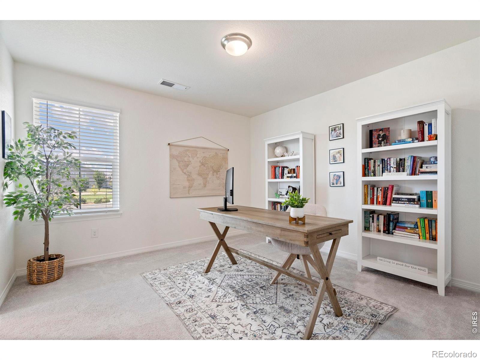 MLS #RECIR1068515 image #29