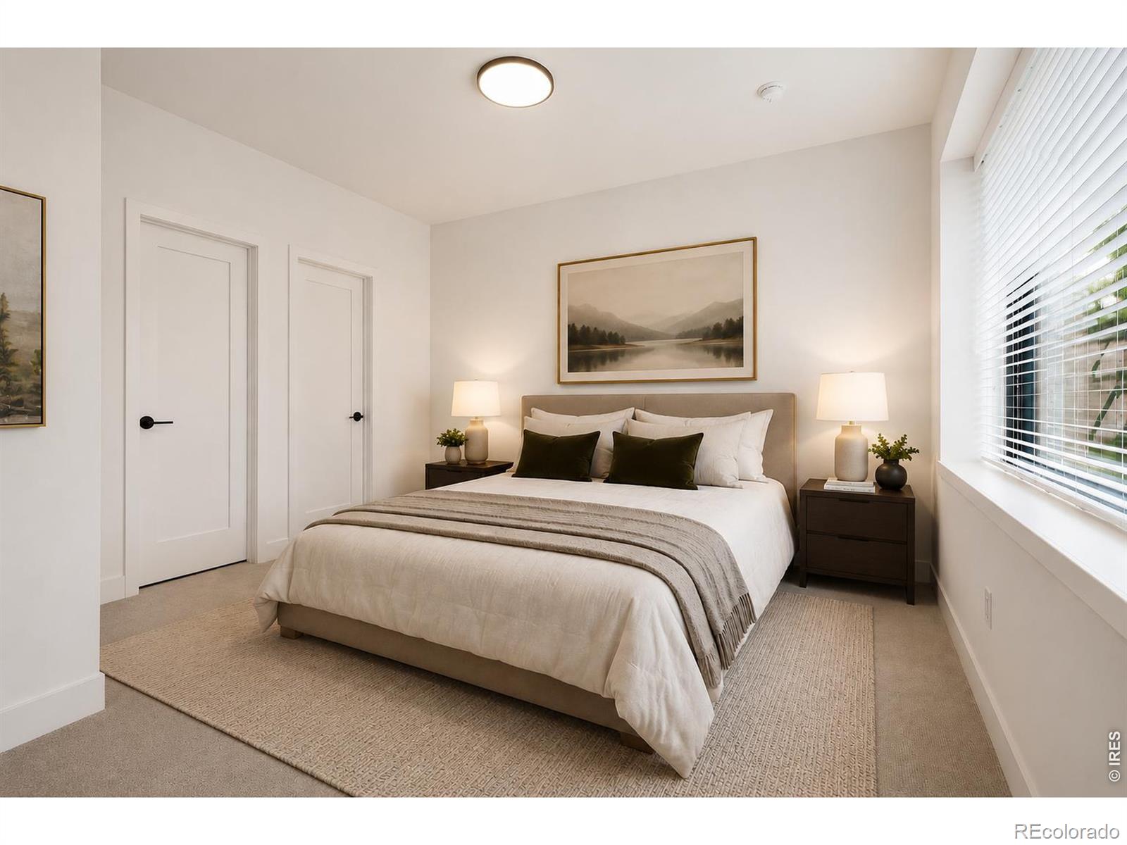 MLS #RECIR1068538 image #31