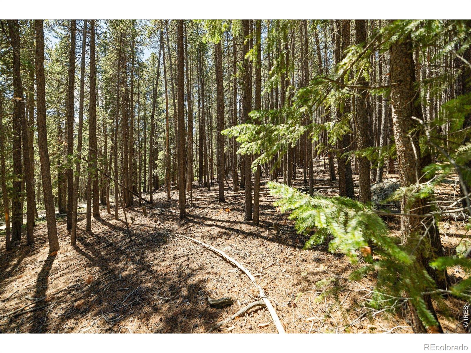 MLS #RECIR1068559 image #13