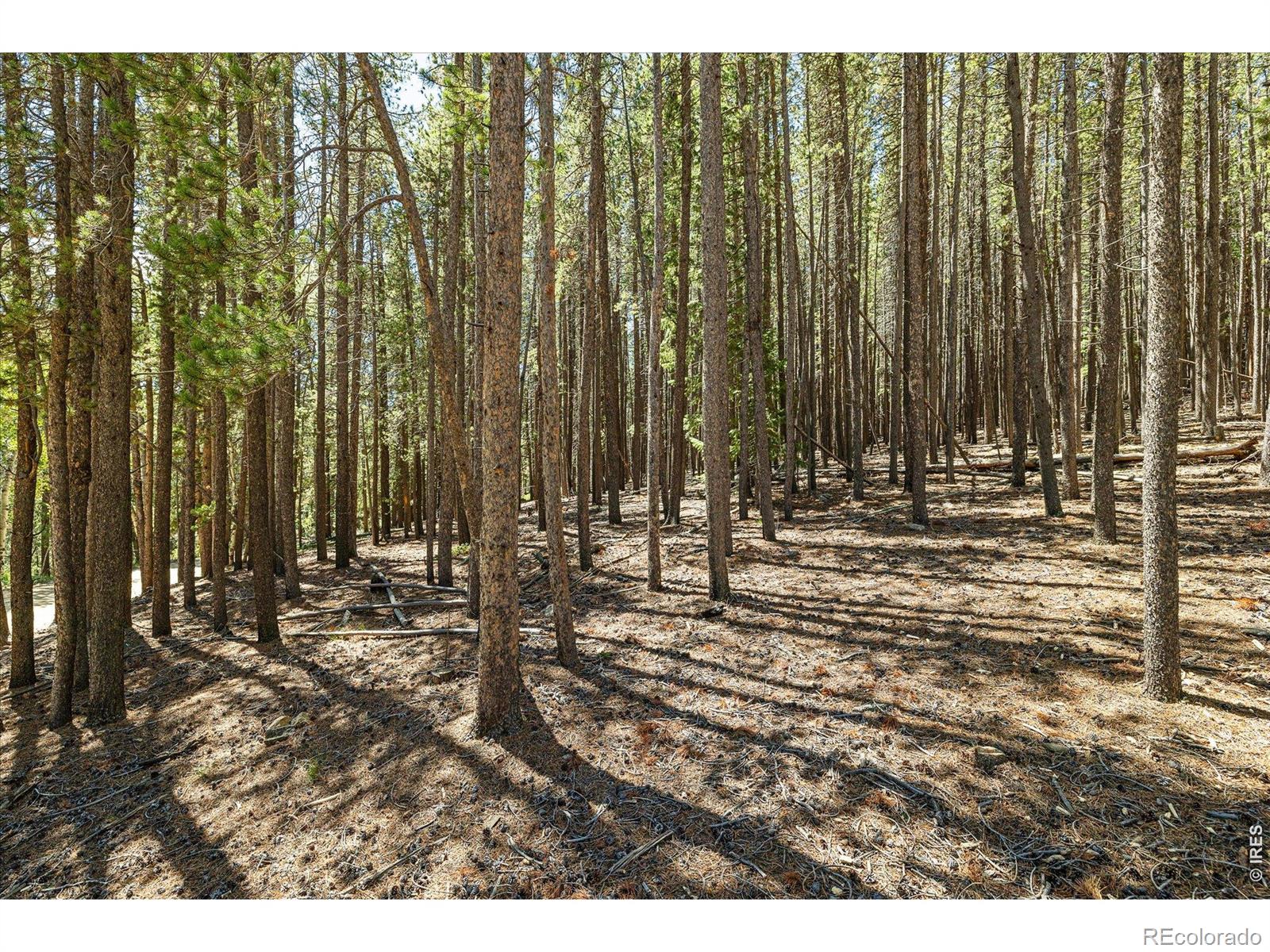 MLS #RECIR1068559 image #17