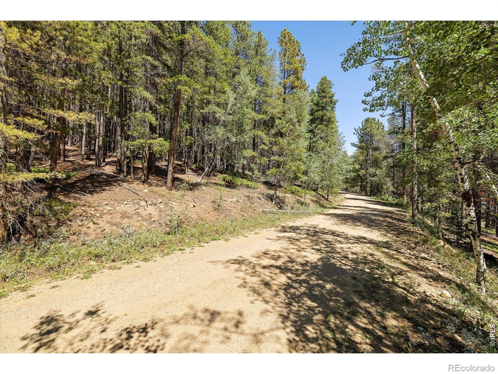 MLS #RECIR1068559 image #5