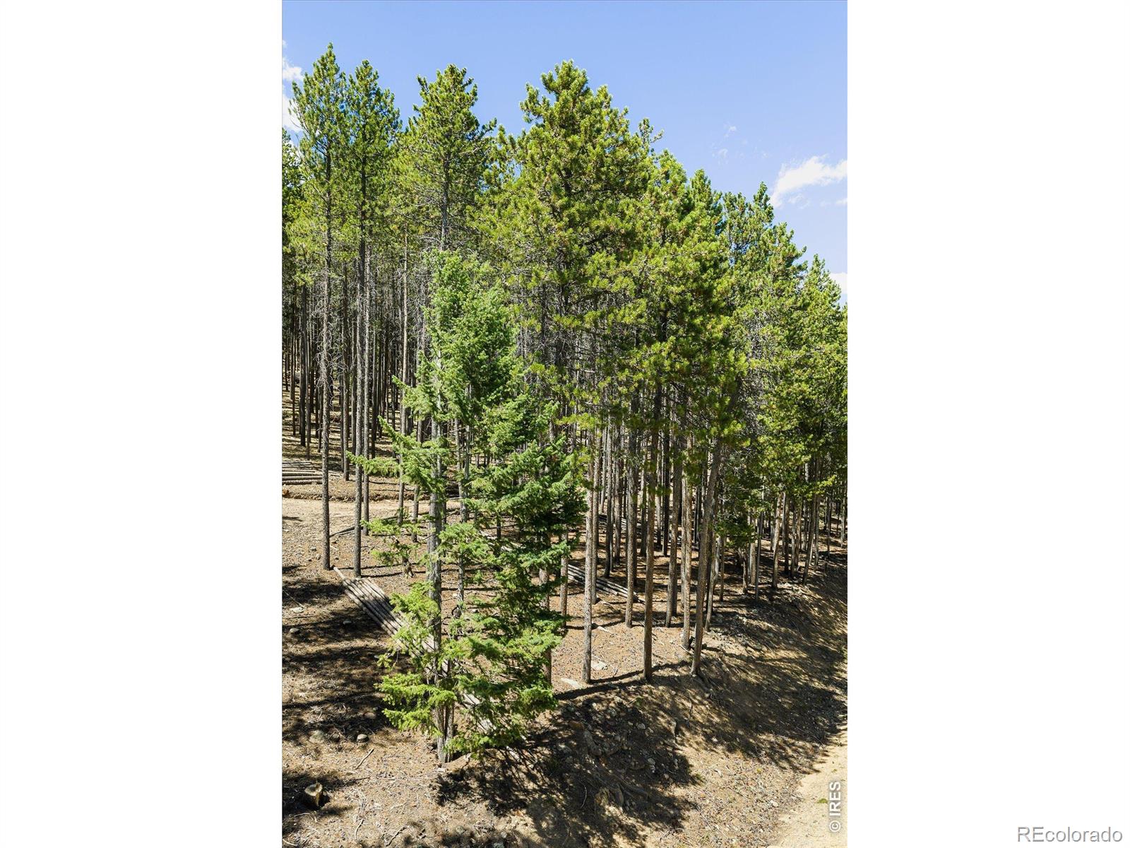 MLS #RECIR1068559 image #8