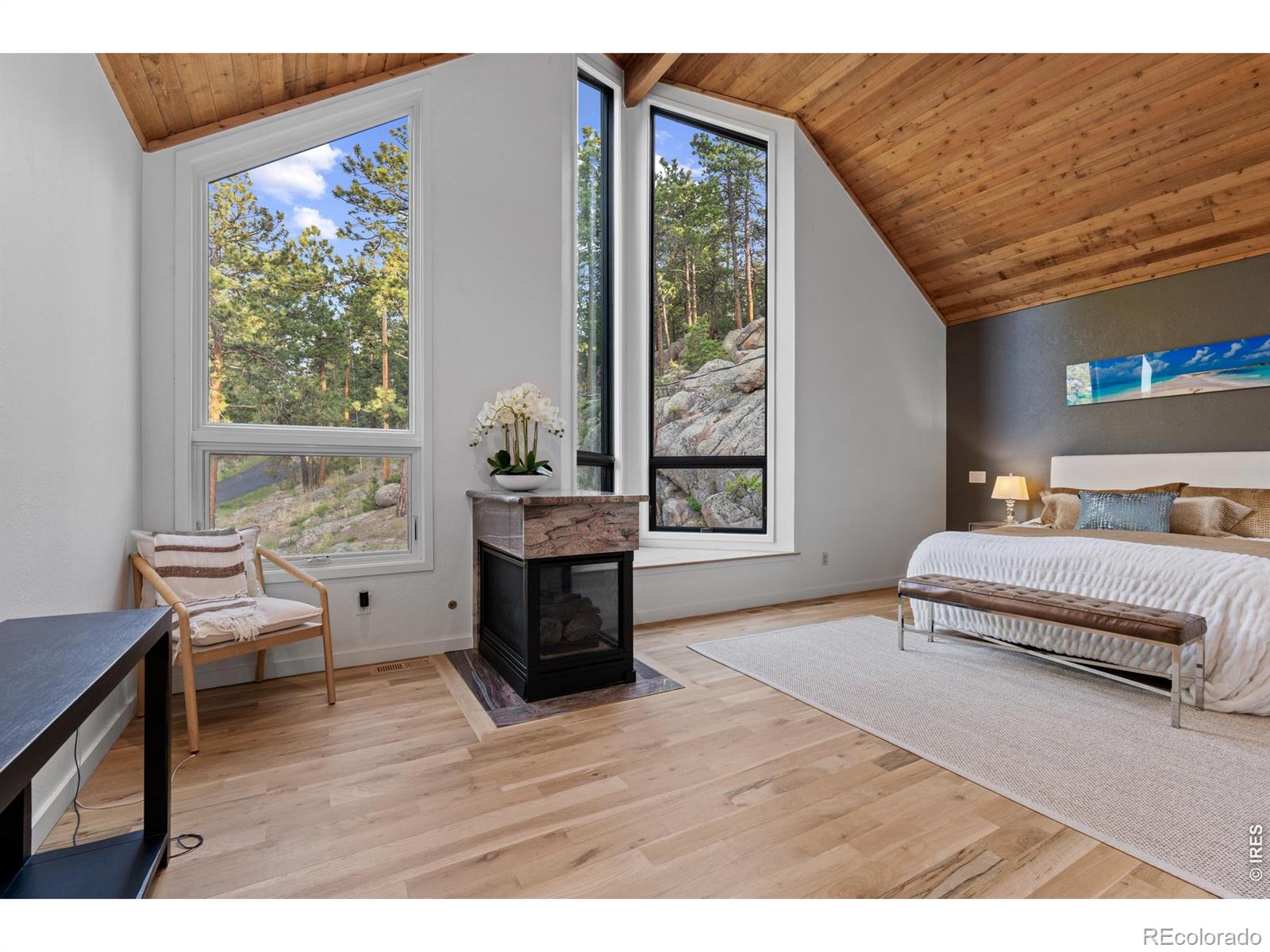 MLS #RECIR1068567 image #12