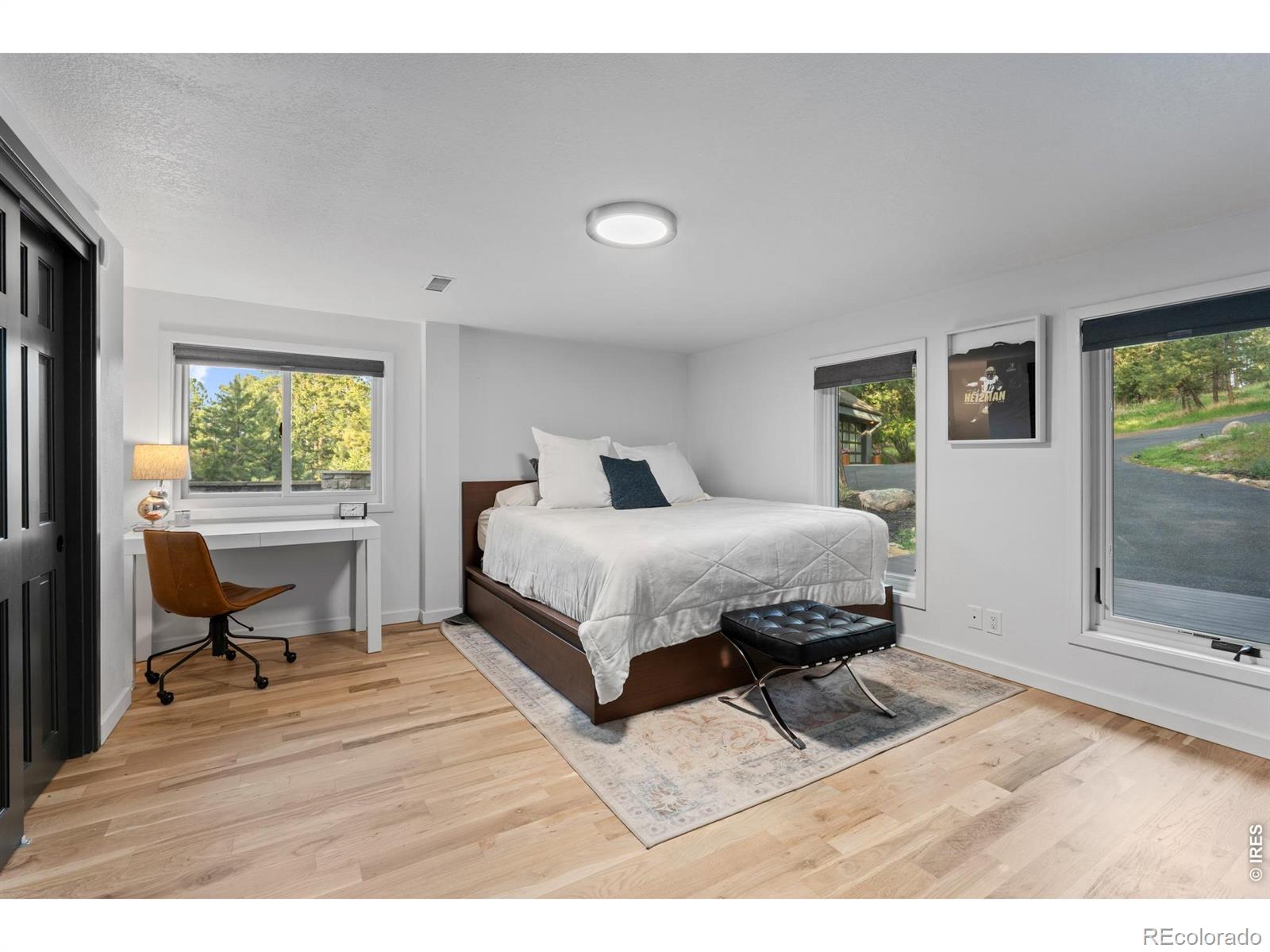 MLS #RECIR1068567 image #24