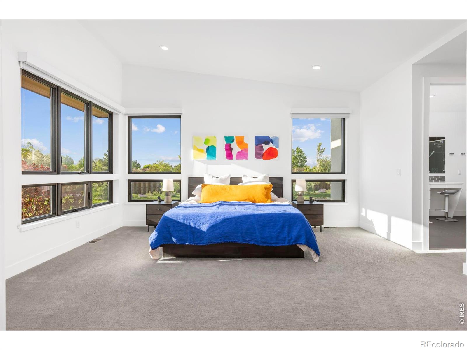 MLS #RECIR1068571 image #13