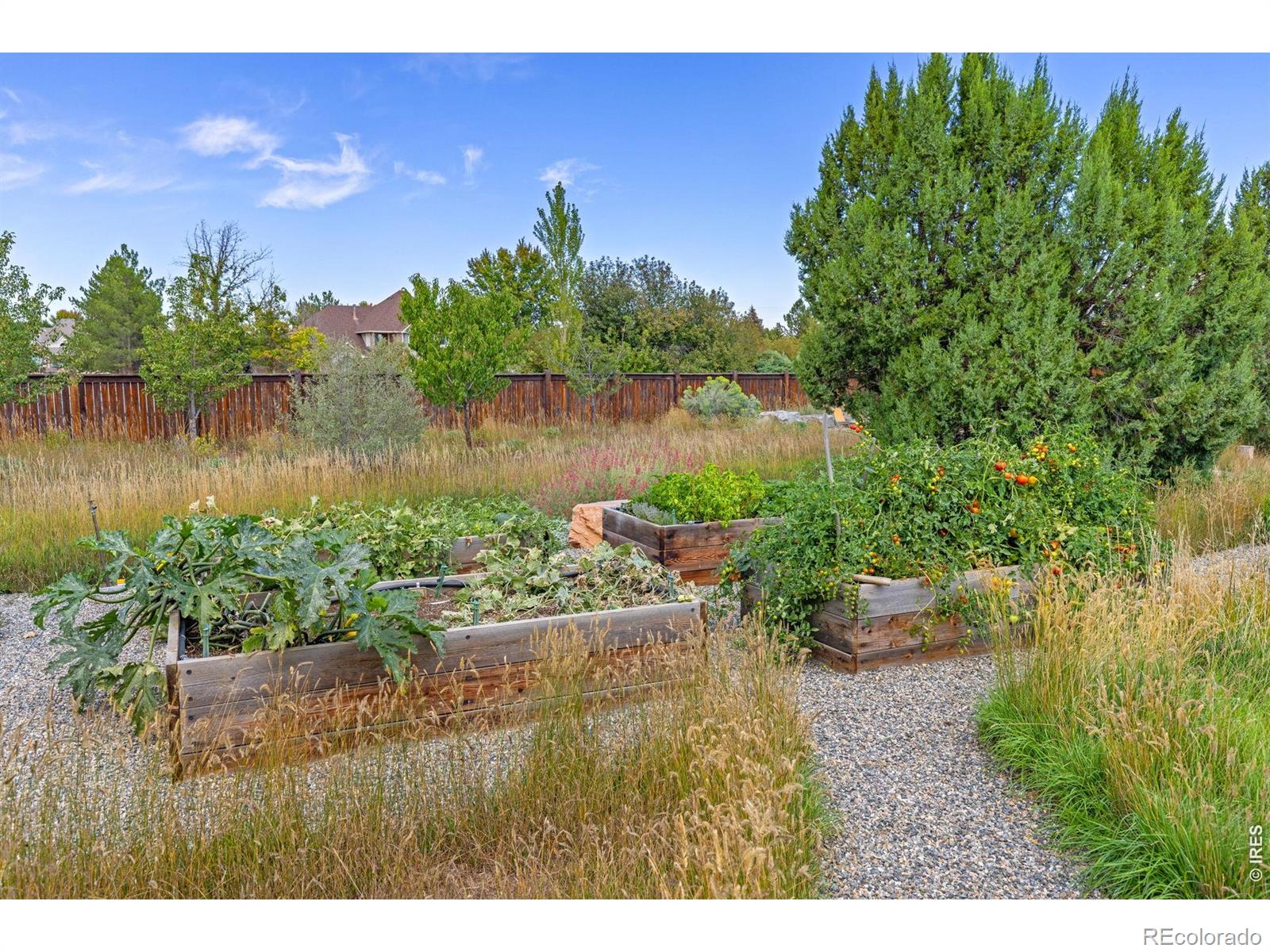 MLS #RECIR1068571 image #32