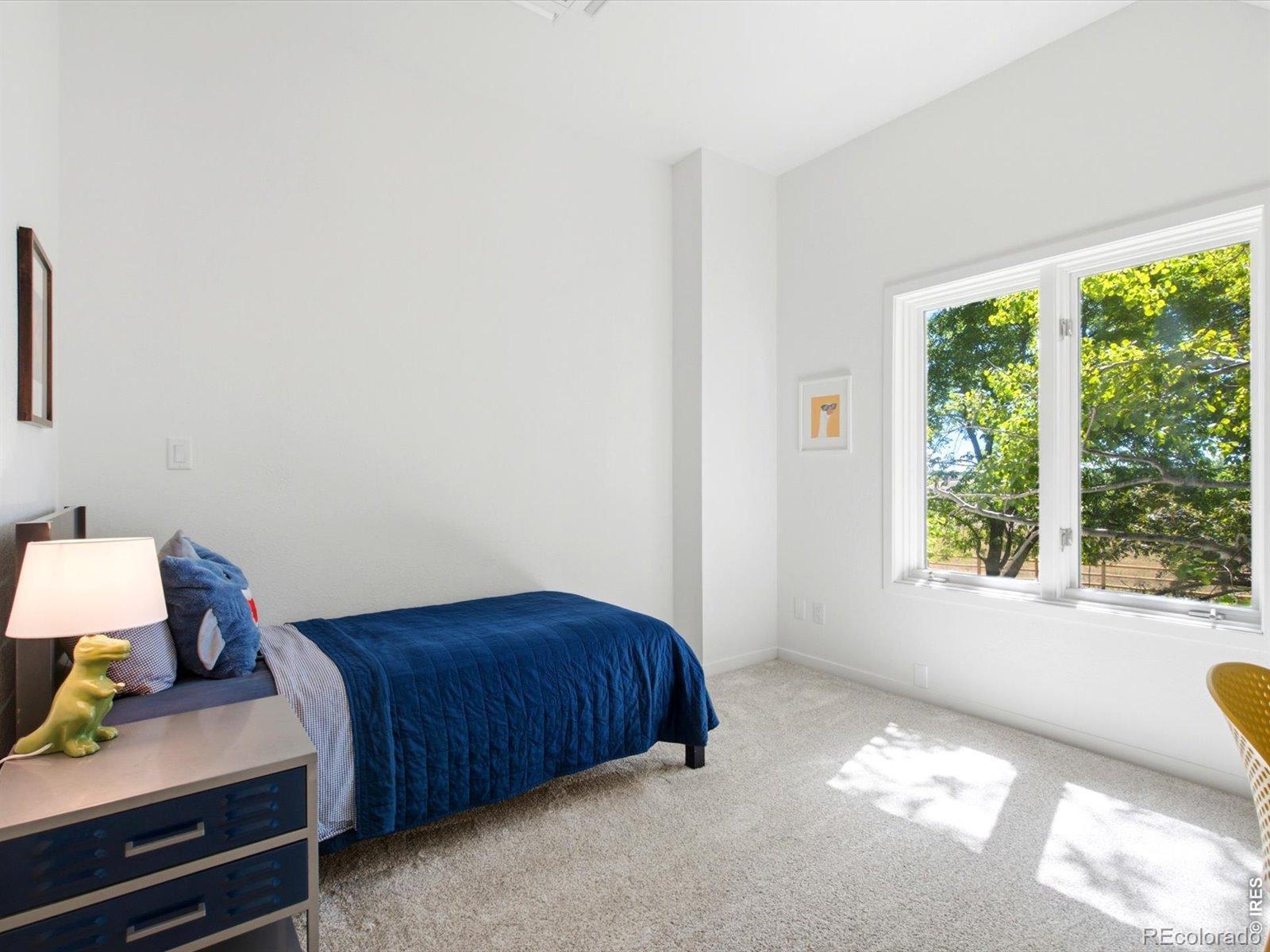 MLS #RECIR1068576 image #32