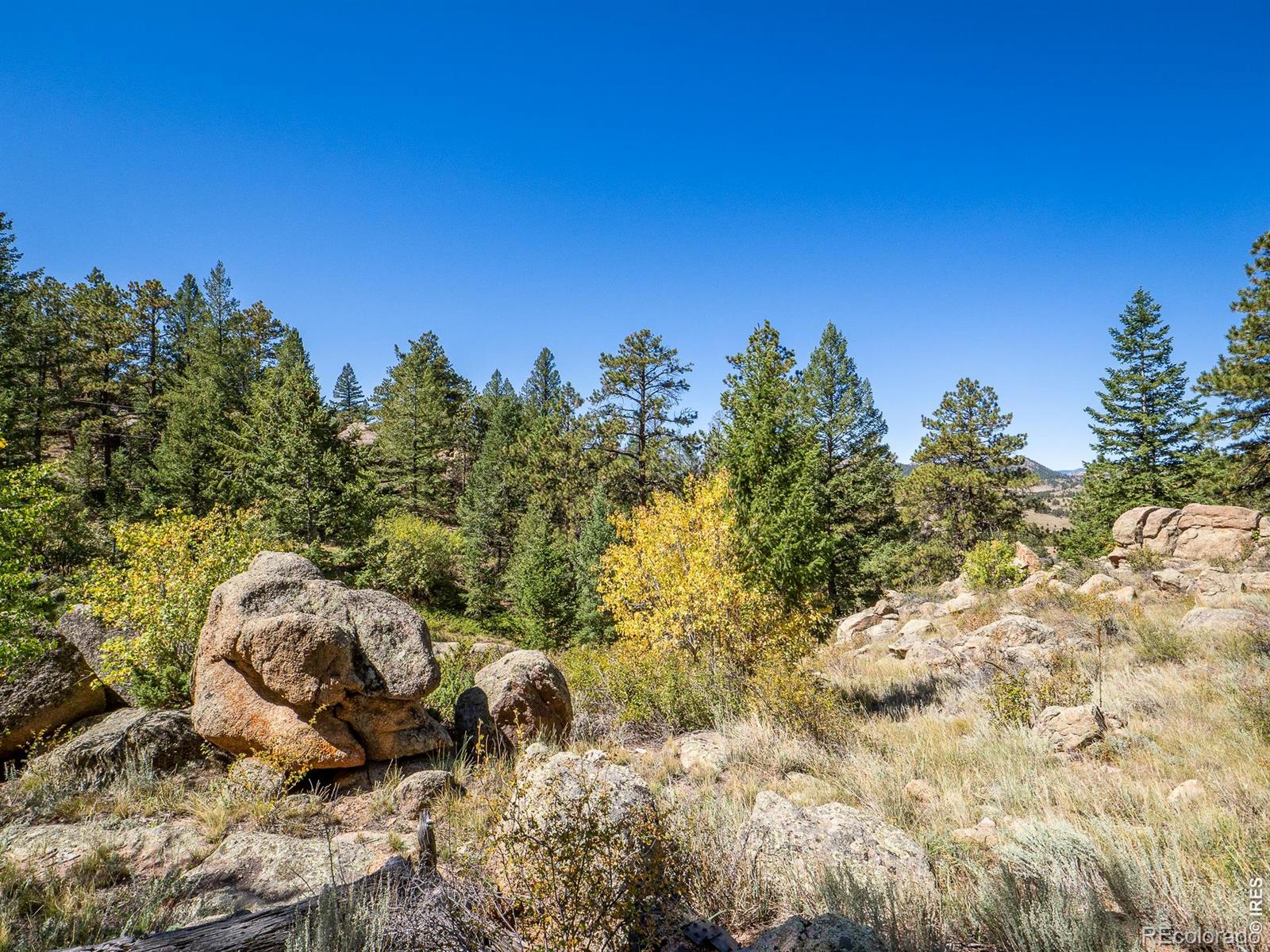 MLS #RECIR1068609 image #8