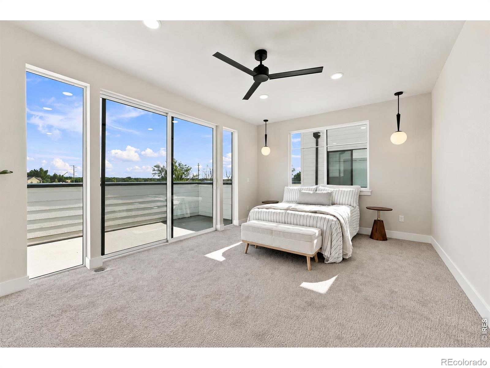 MLS #RECIR1068619 image #10