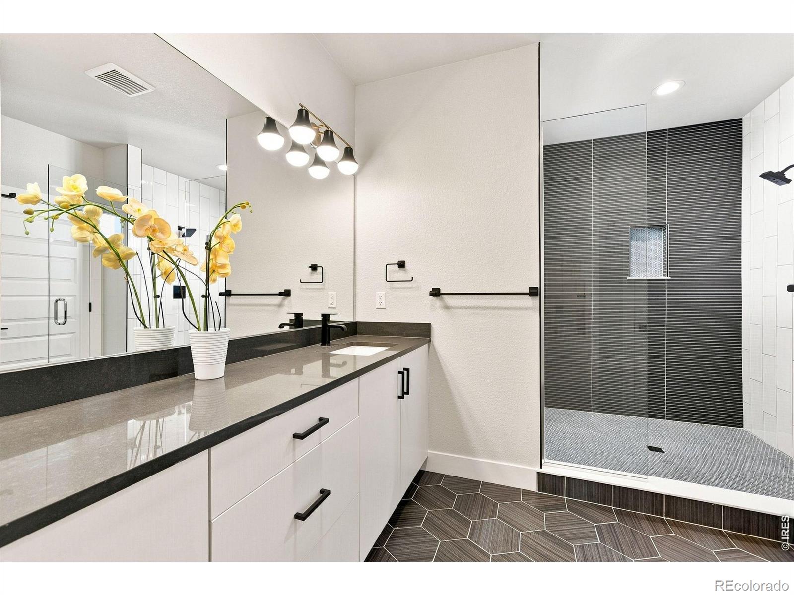 MLS #RECIR1068619 image #12