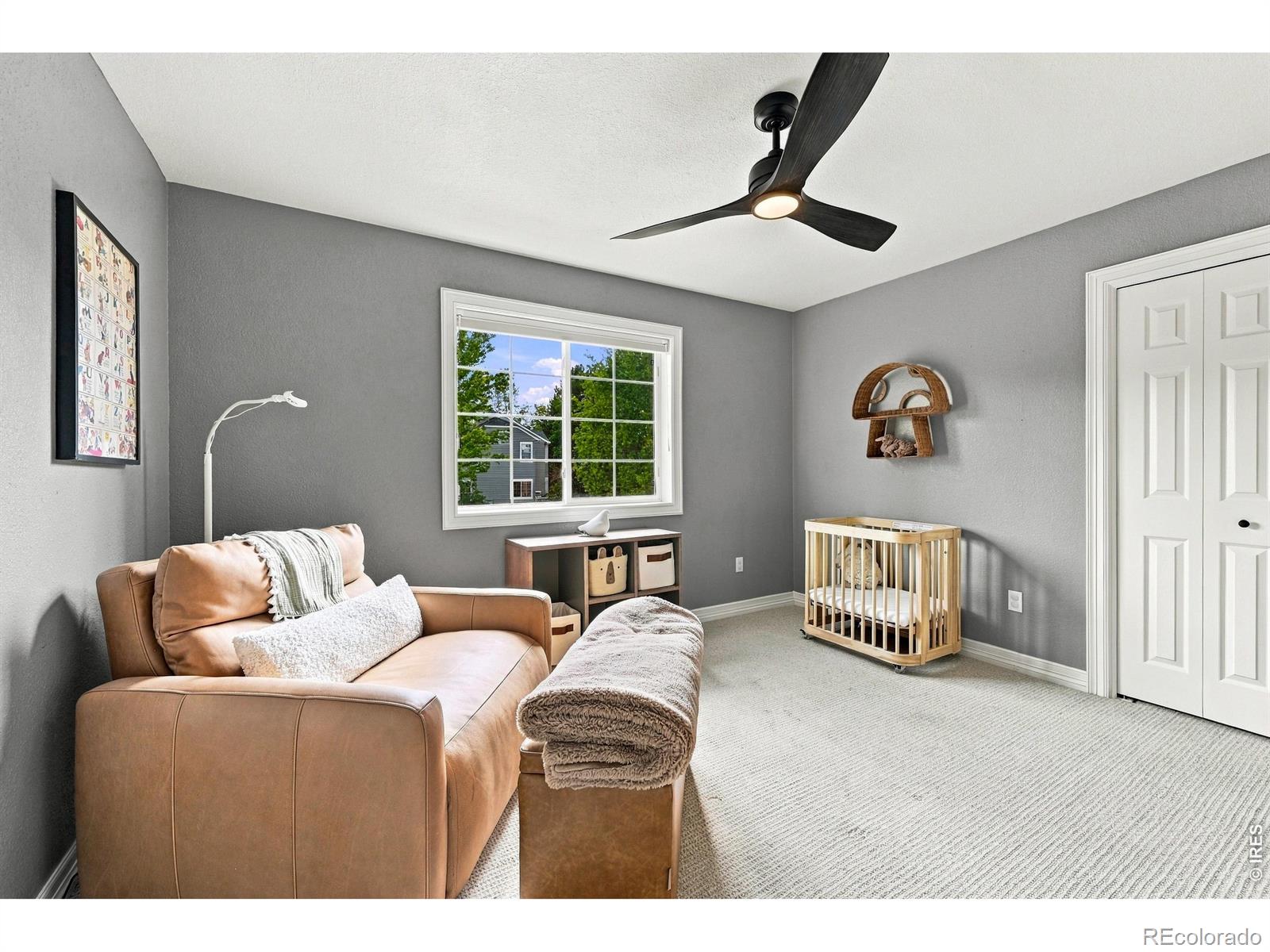 MLS #RECIR1068632 image #25