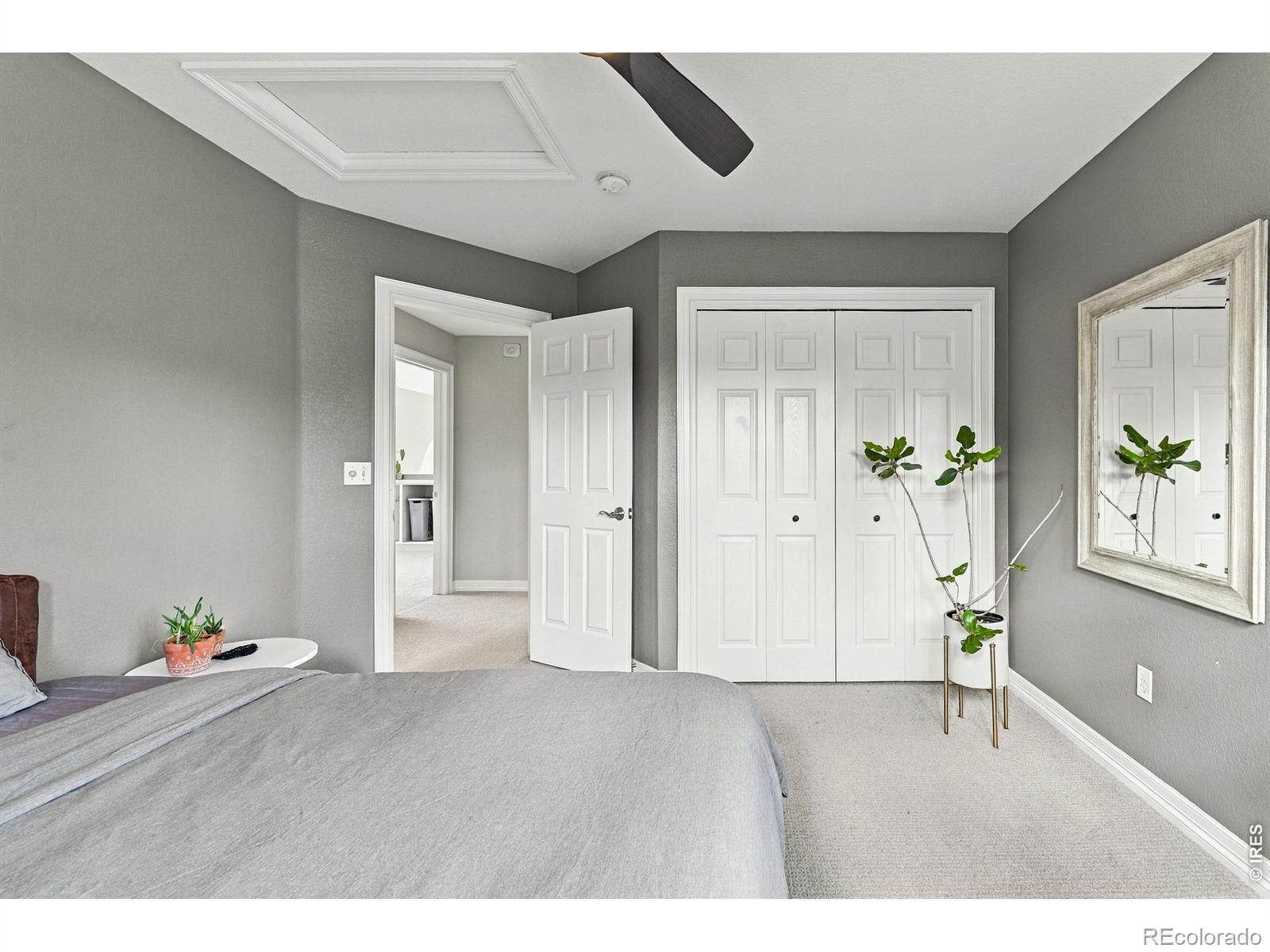MLS #RECIR1068632 image #28